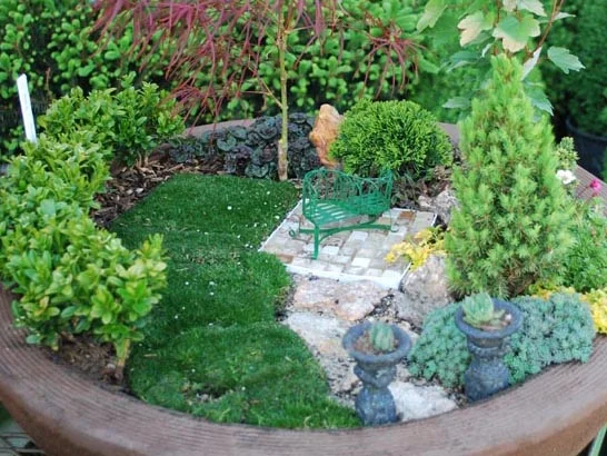 FairyGardenBig.jpg