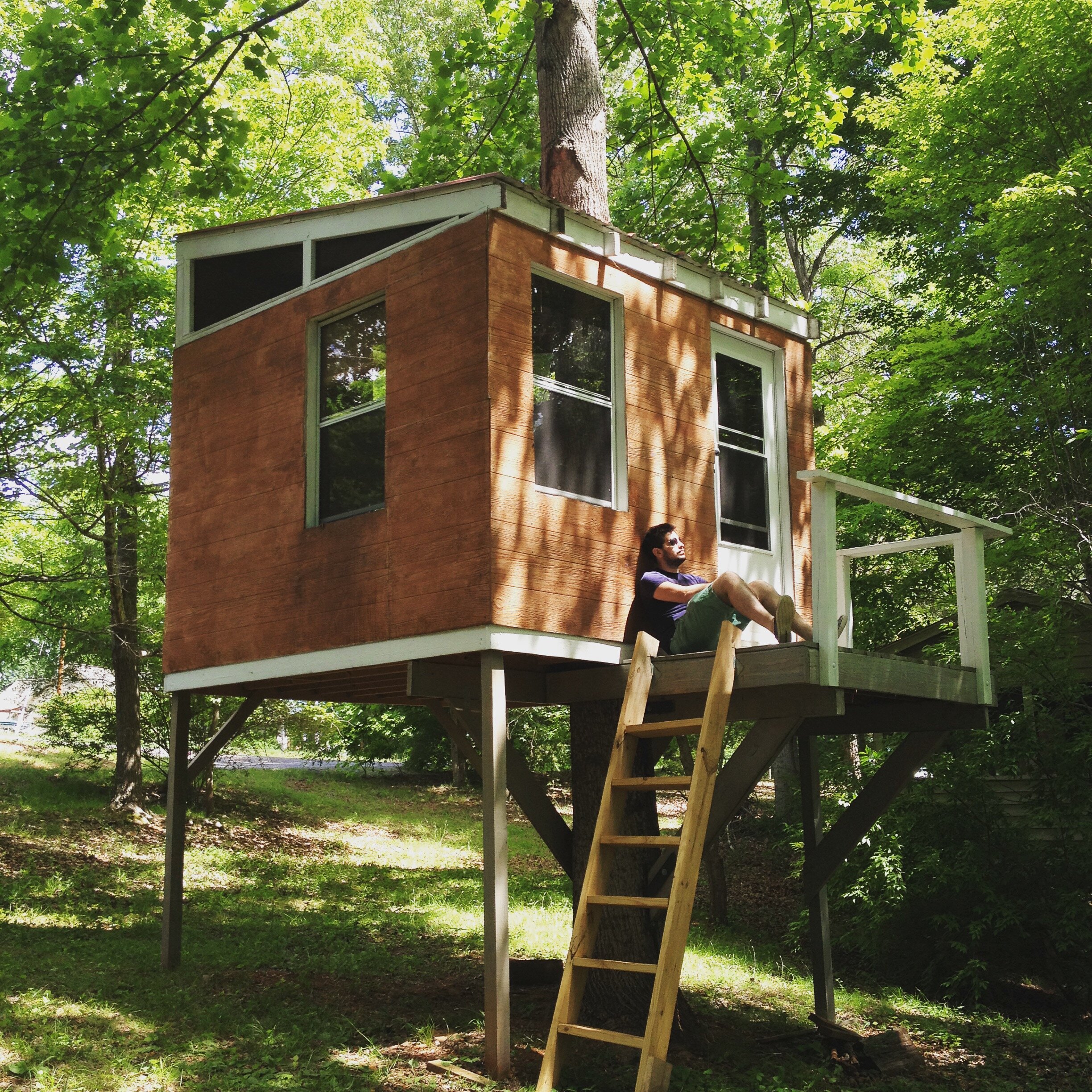 A VIRGINIA TREE HOUSE — Hannah Vaughan Studio