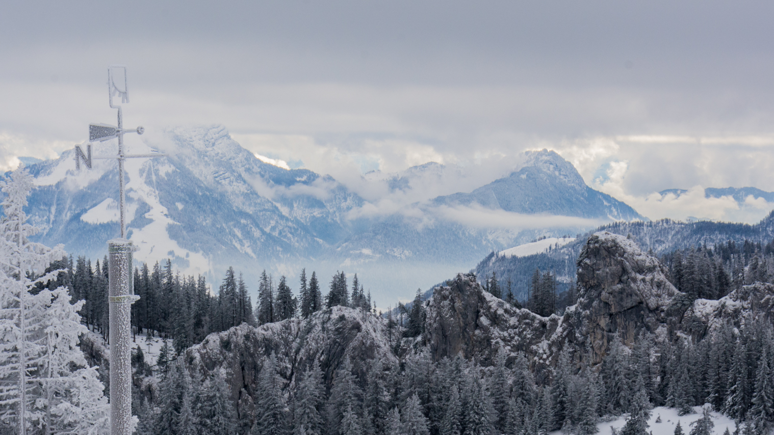 Alps_DavidFreid(1).jpg