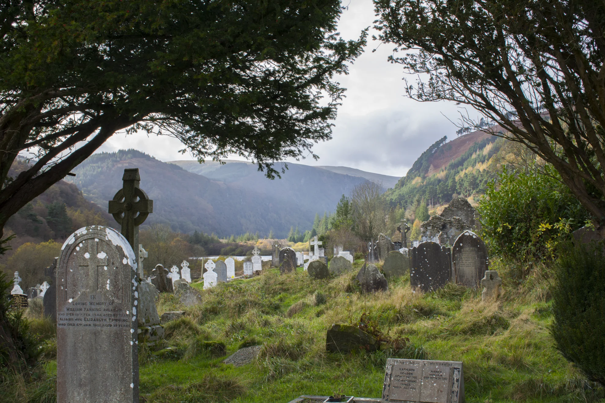 GlendaloughGraves_DavidFreid.jpg