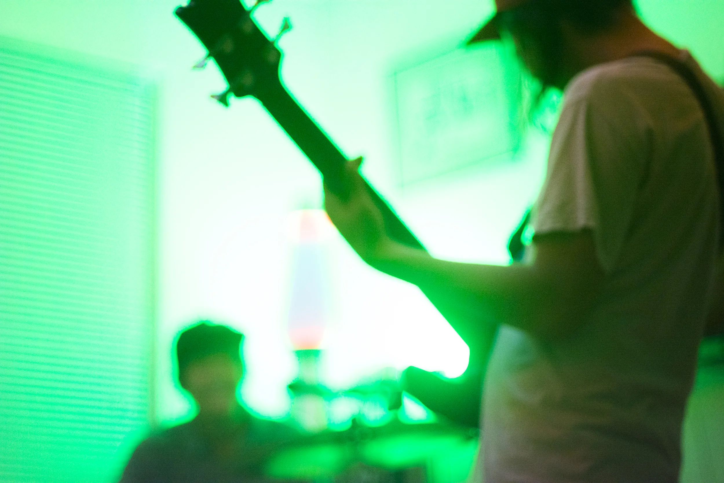 SummerSaltGreen_DavidFreid.jpg