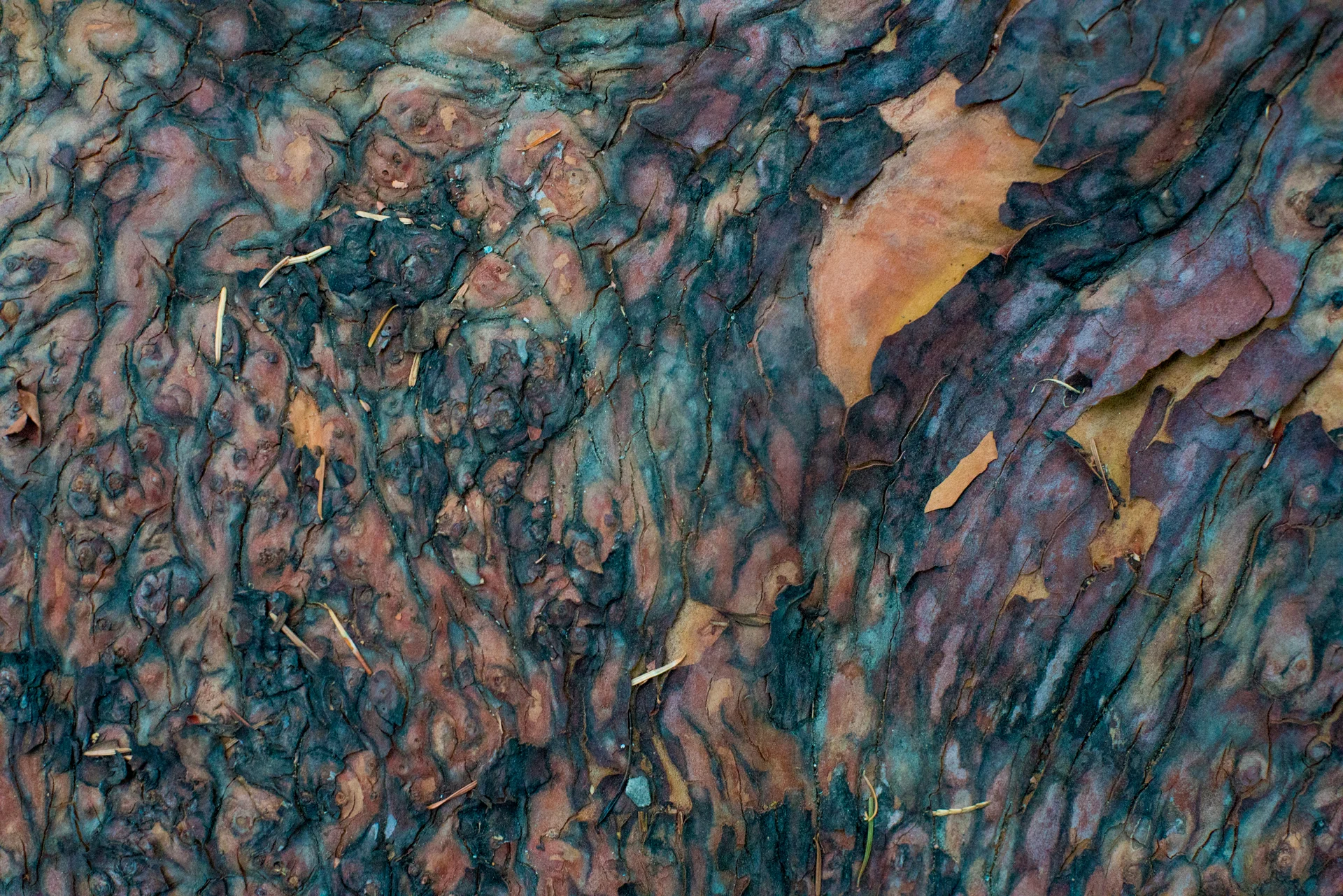 small-07391.jpg