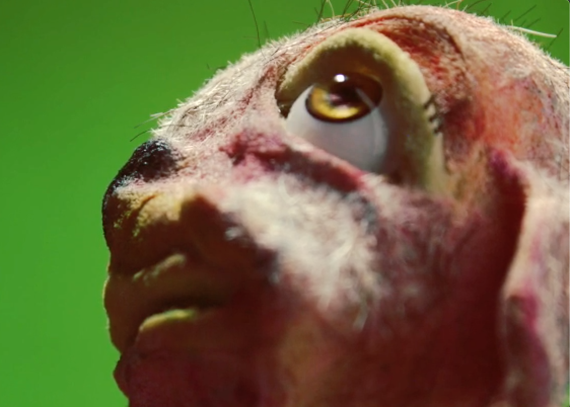 Screen Shot 2021-03-16 at 5.05.24 PM.png