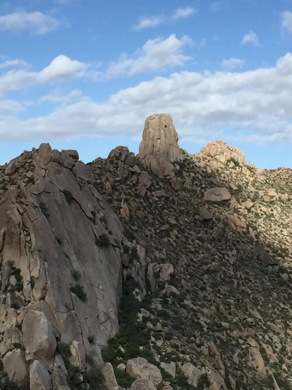 Rolfing®+Resources+images+-+Tom+Thumb,+Scottsdale,+AZ.jpeg