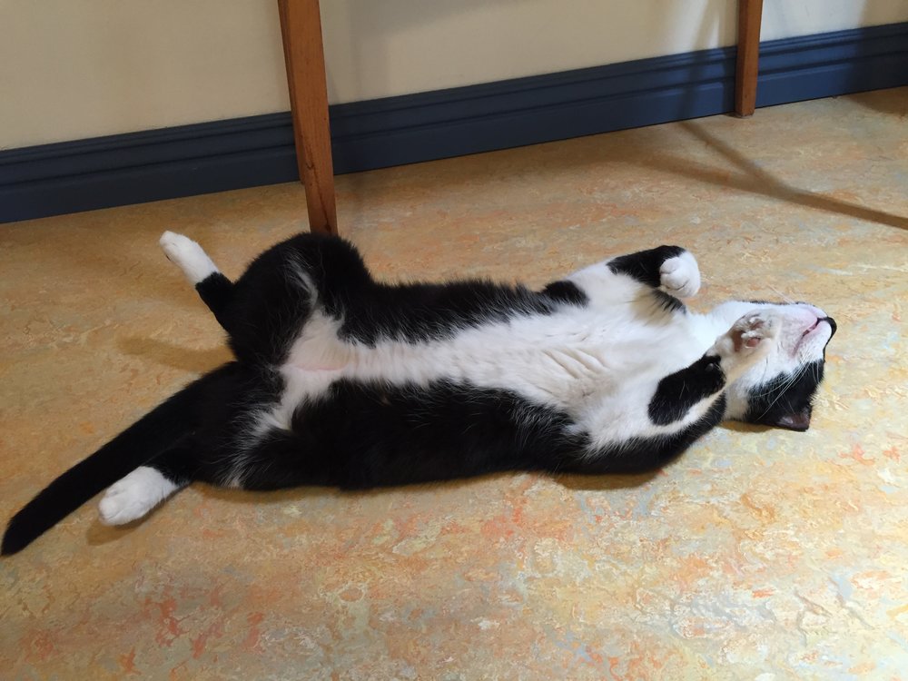 Toby relaxing with some diaphragmatic breathing