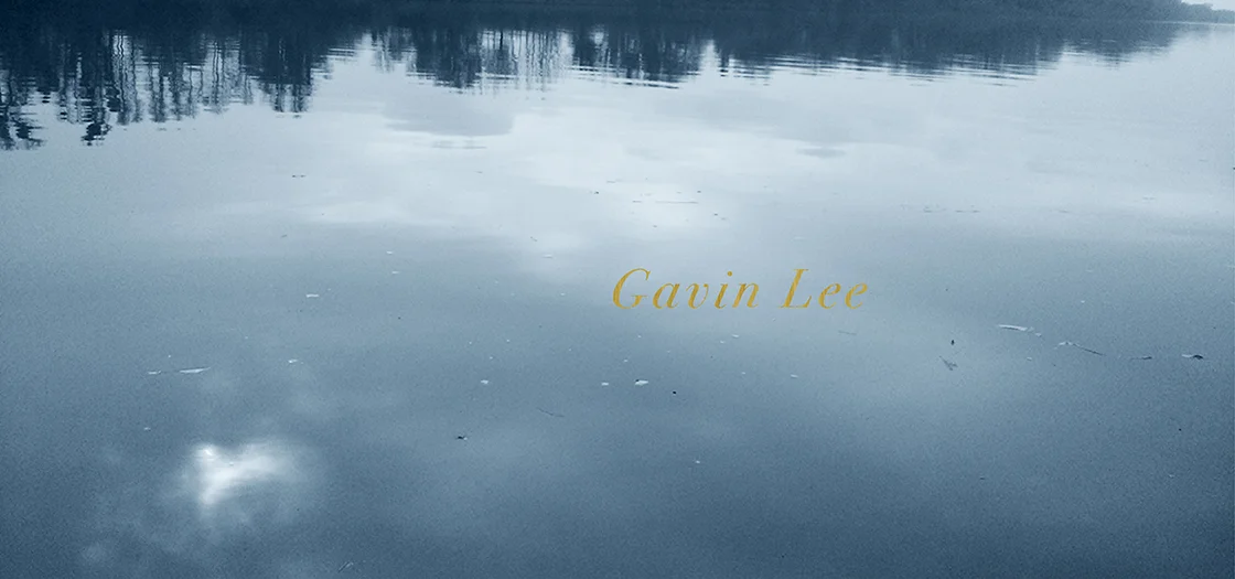 Gavin Lee-01.jpg