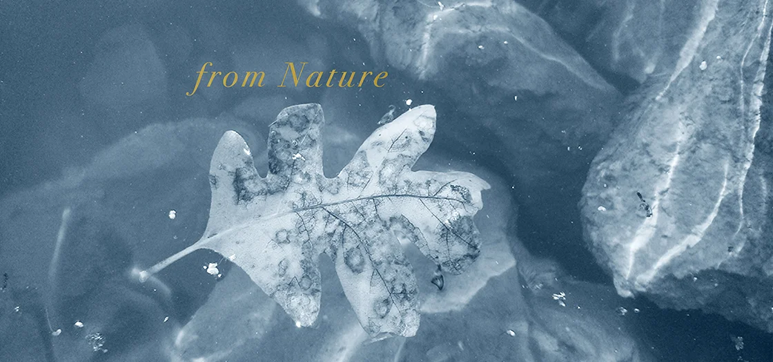 fromNature-01.jpg