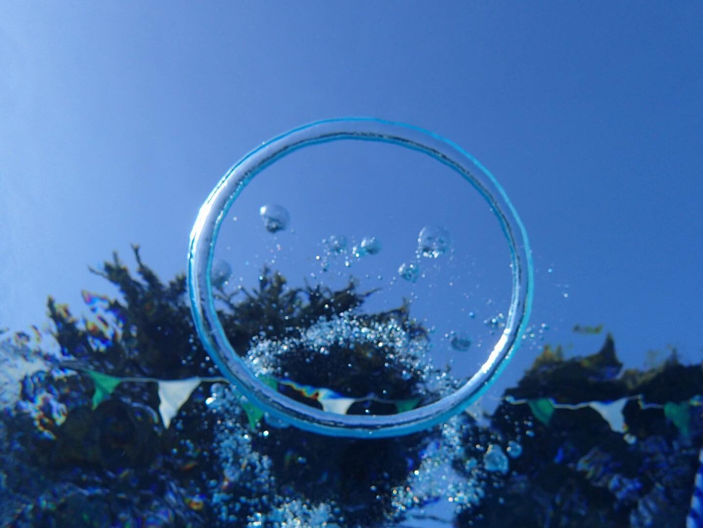 #hypoxictraining  #bubblering #ringbubbles 
#2swimBlog #FINIS #TeamFINIS #FINISswim #FINISfam