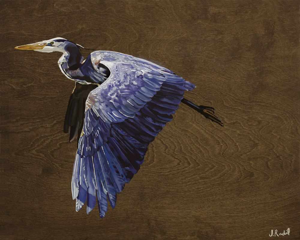 "Great Blue Heron"