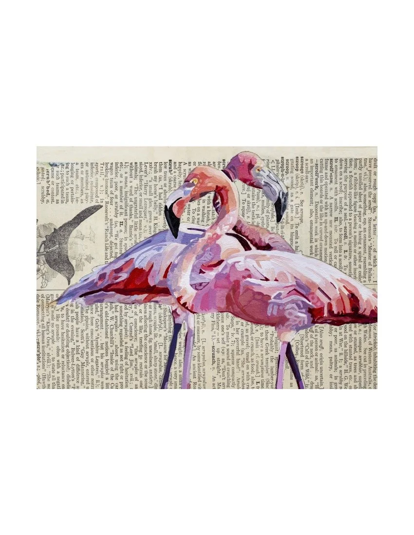 flamingos2.tif.jpg