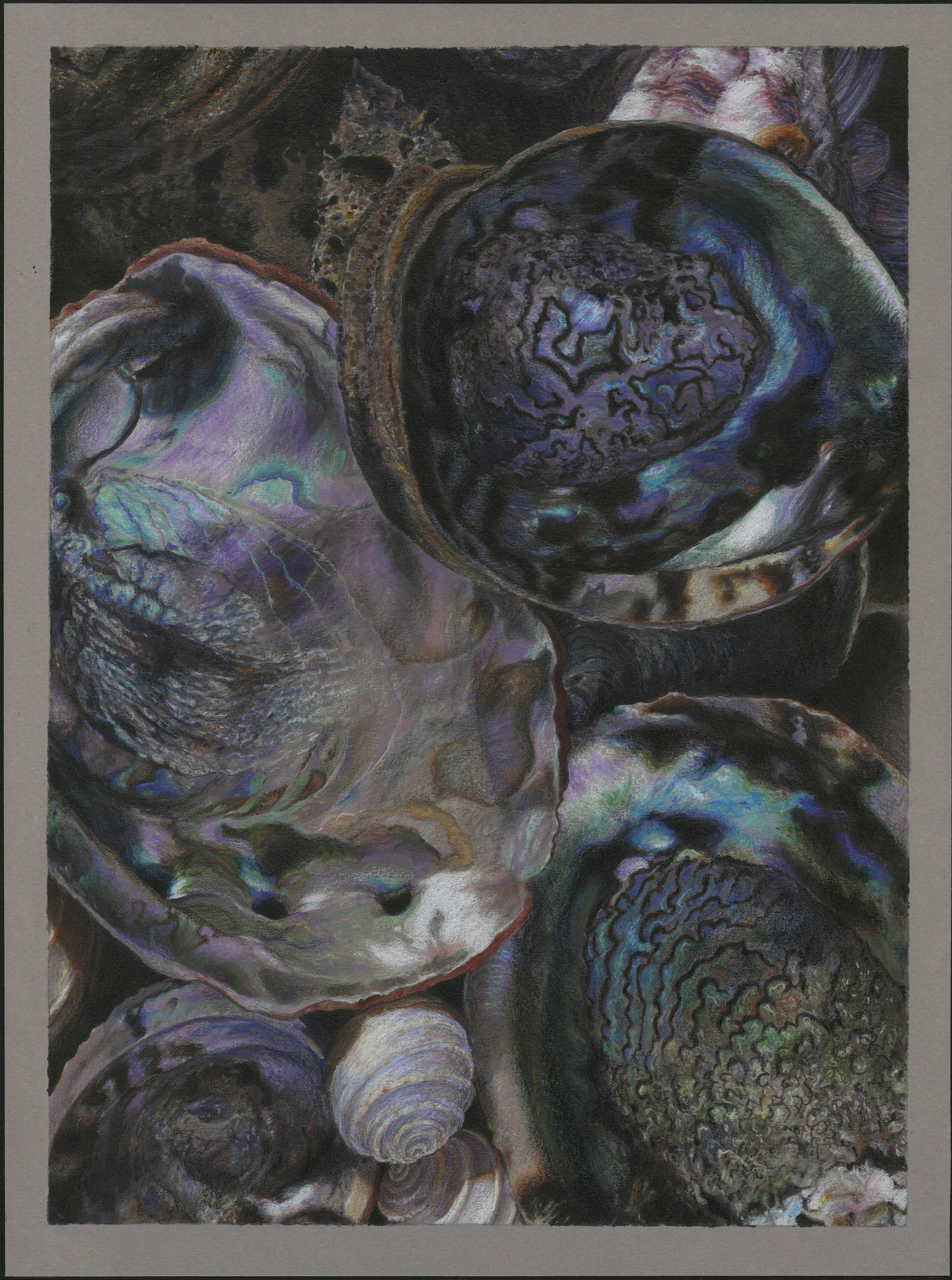 biomed abalone c.jpg