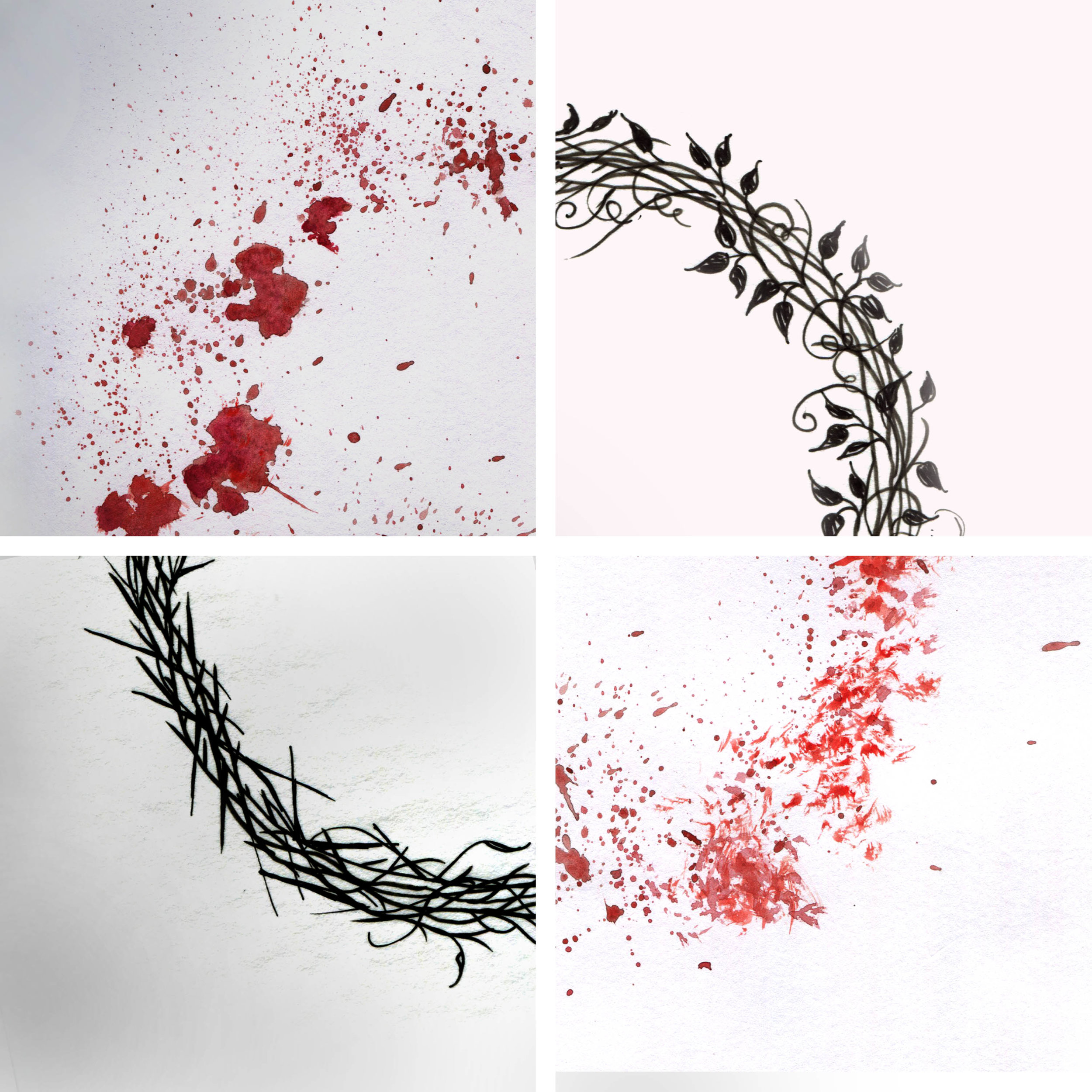 crown of thorns.jpg