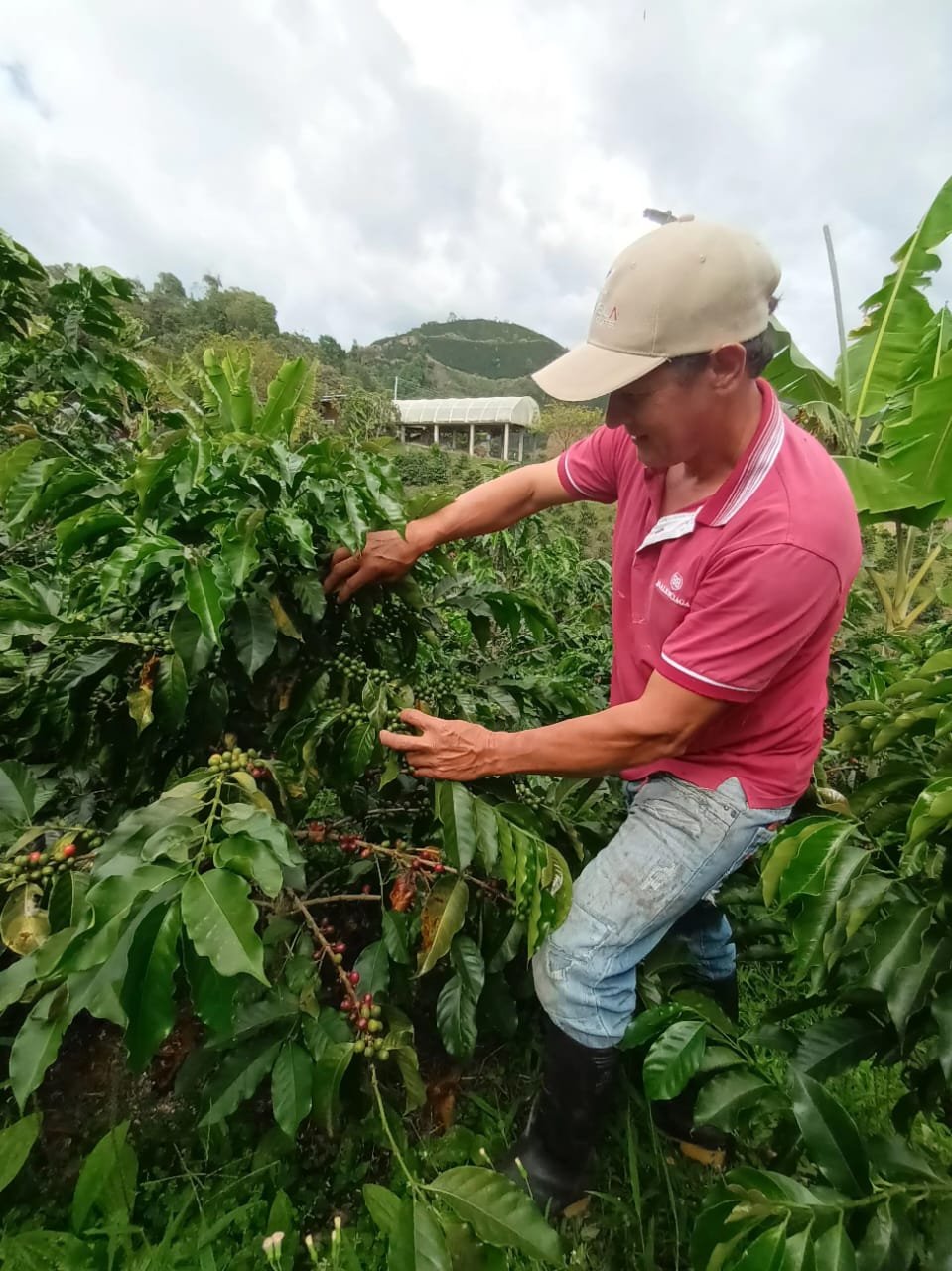 Alcides Avendano 7.jpg