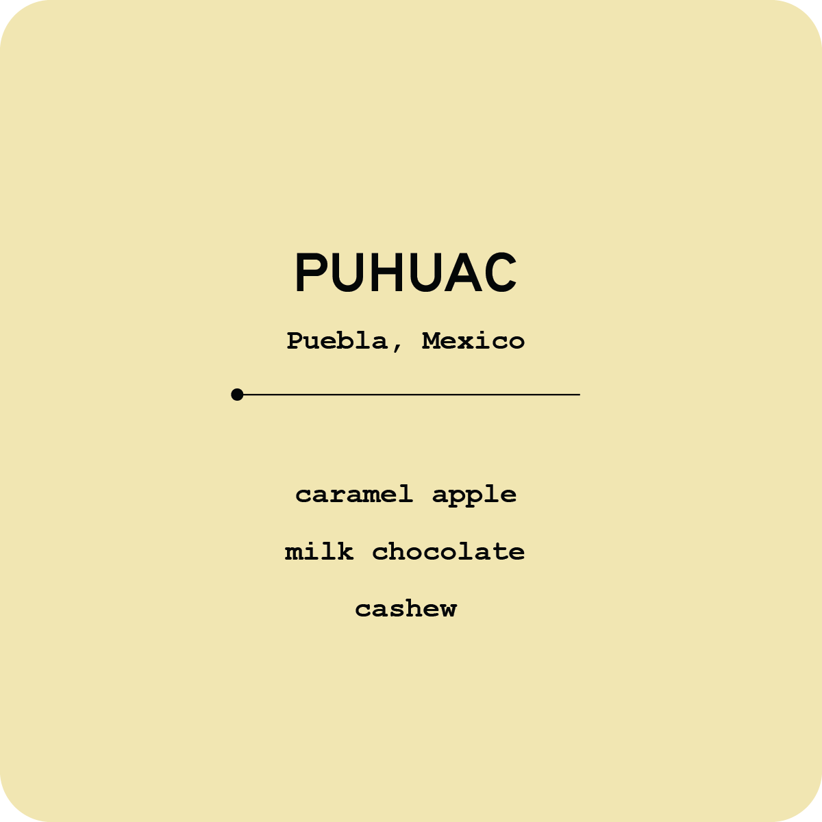 PUHUAC [WEB].png