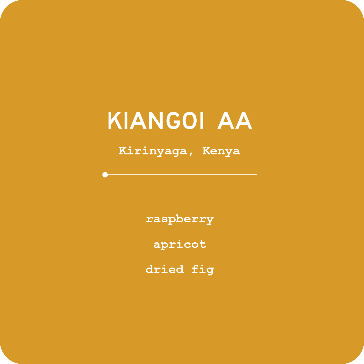 KIANGOI AA [WEB].png