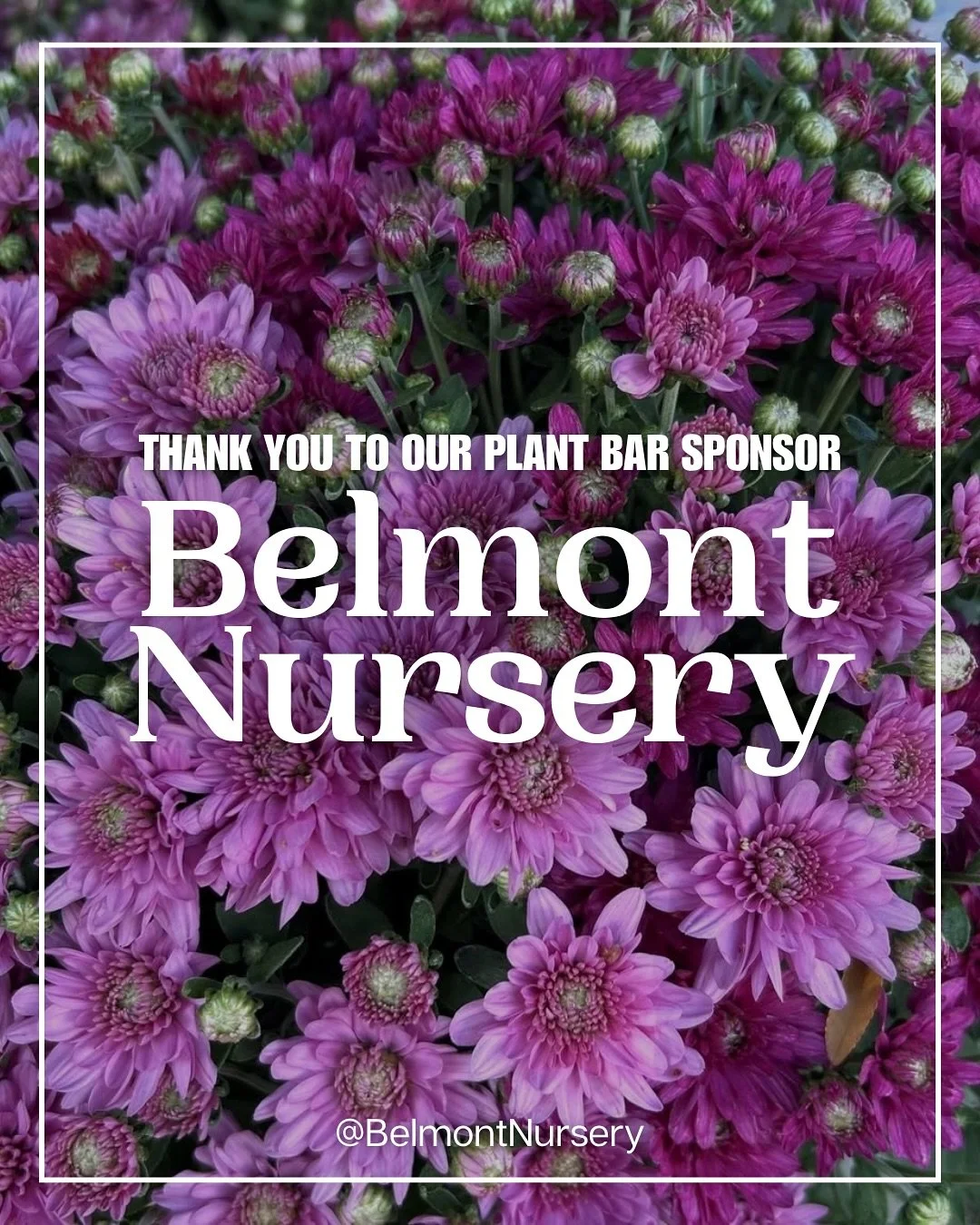 Thank you to our 2025 Plant Bar Sponsor @belmontnursery ♡🪴

Stop by this year&rsquo;s Plant Bar workshops to participate in their Harvest Succulent Pumpkins Workshop 🎃 At 3:30pm this Friday, 12:30pm on Saturday, or 12:30pm on Sunday!

Checkout our 