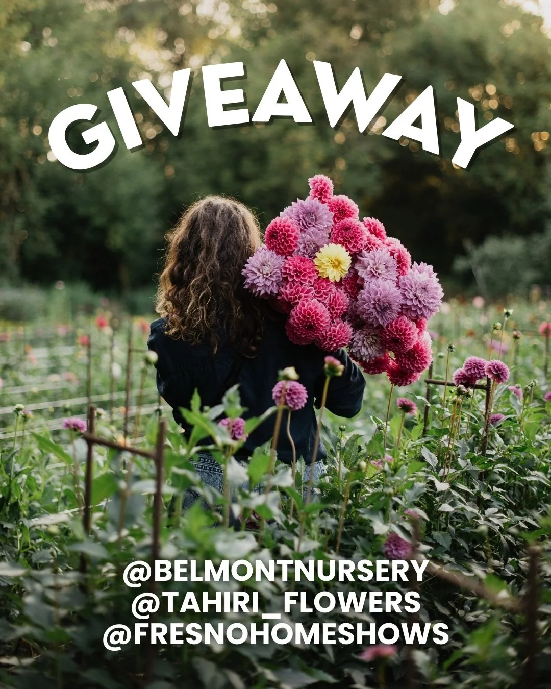 🎉 GIVEAWAY TIME! 🎉
We&rsquo;ve teamed up with @belmontnursery &amp; @tahiri_flowers to celebrate our 40th Annual Spring Fresno Home &amp; Garden Show!

1 Winner Will Receive:
⭐ $150 Belmont Nursery Giftcard
⭐ TWO Tickets to our Spring Show

PLUS 4 