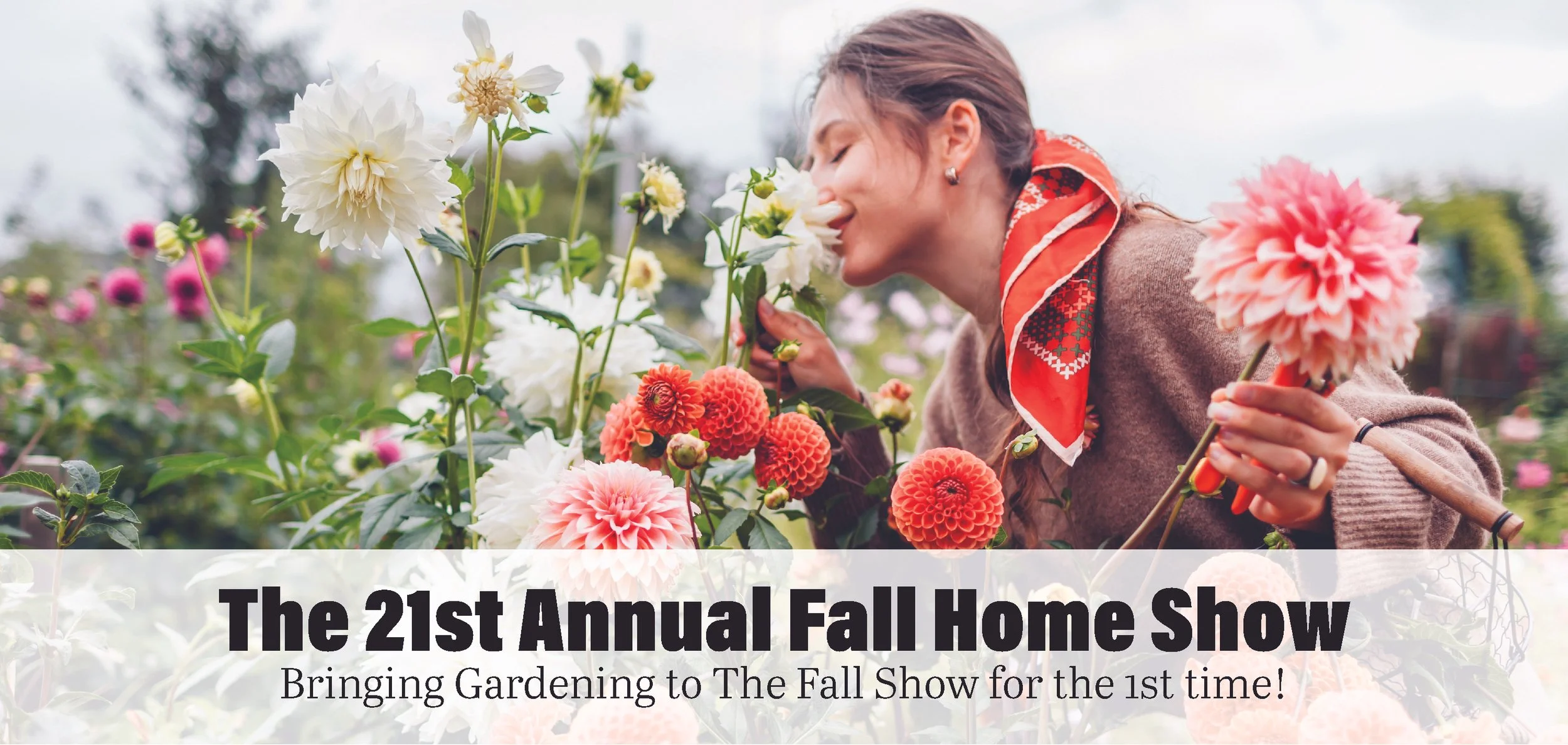 1Website Banners Fall Fresno 26.jpg