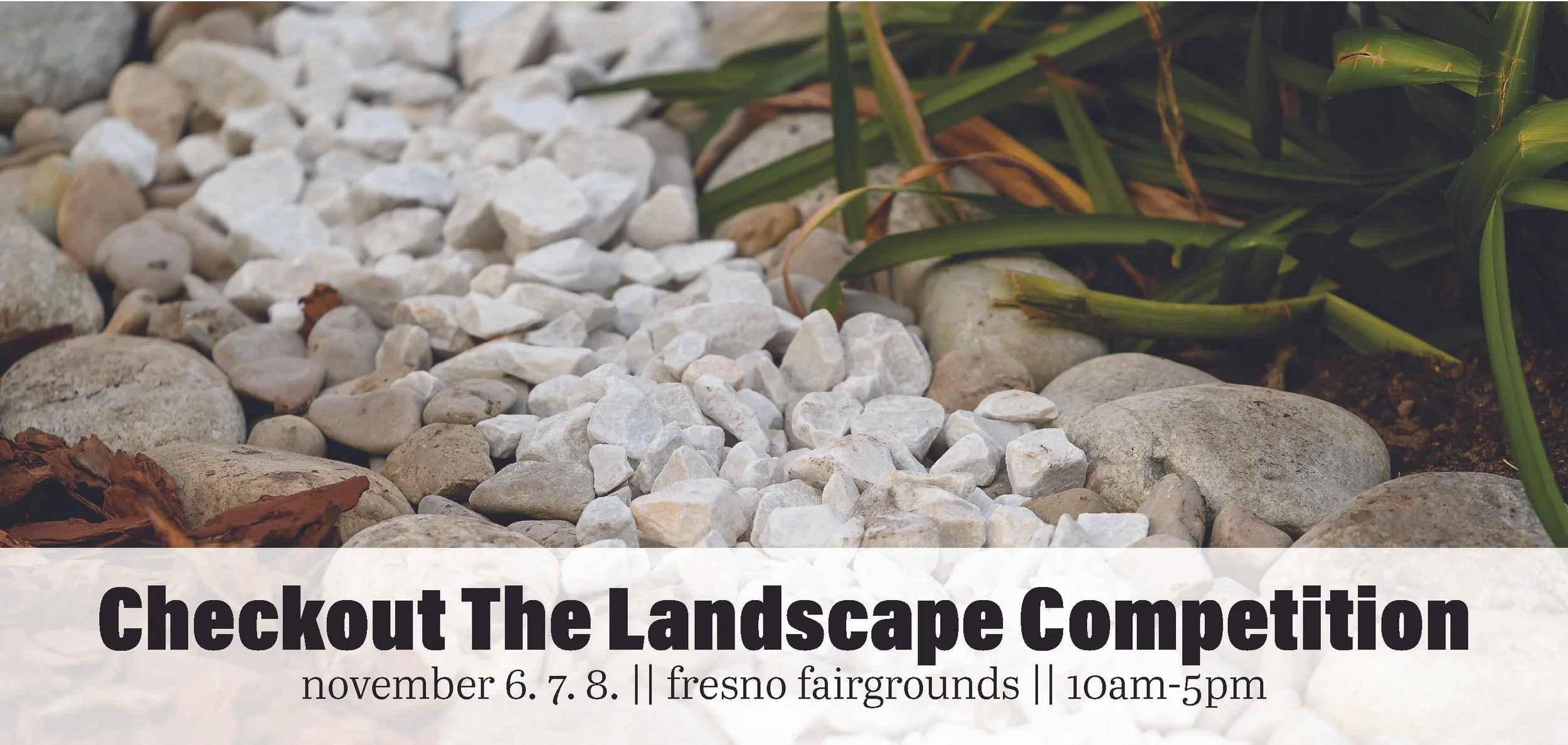 4Website Banners Fall Fresno 26.jpg