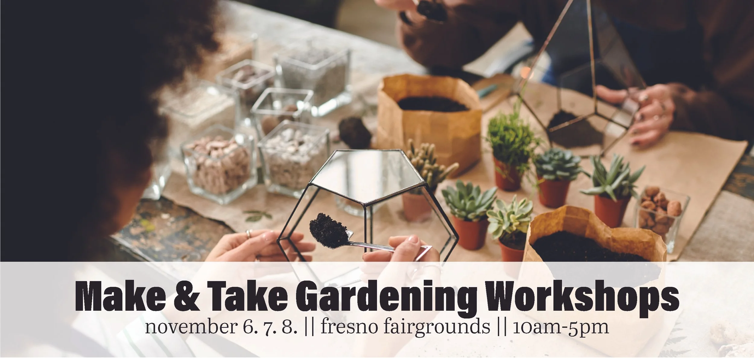 2Website Banners Fall Fresno 26.jpg