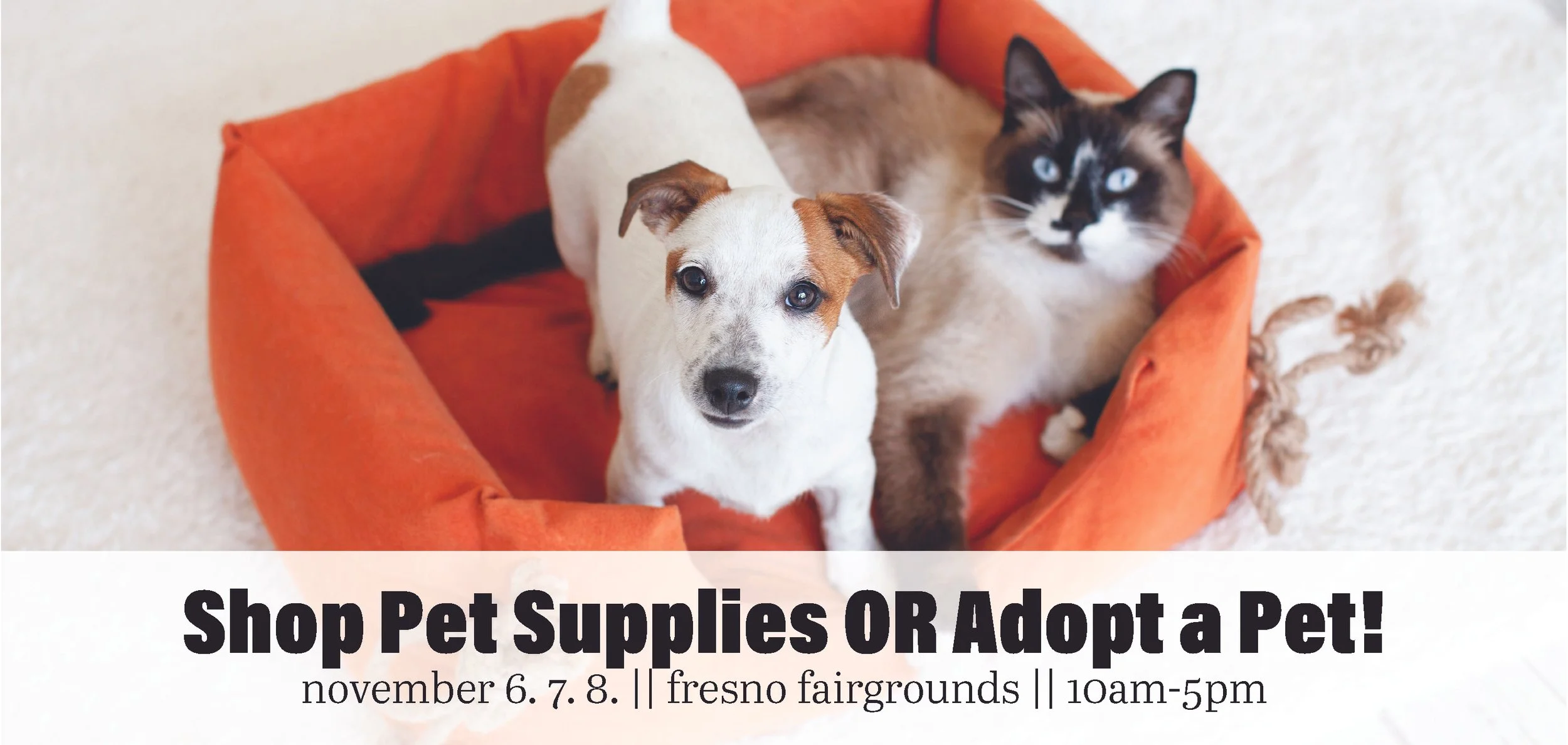 9Website Banners Fall Fresno 26.jpg