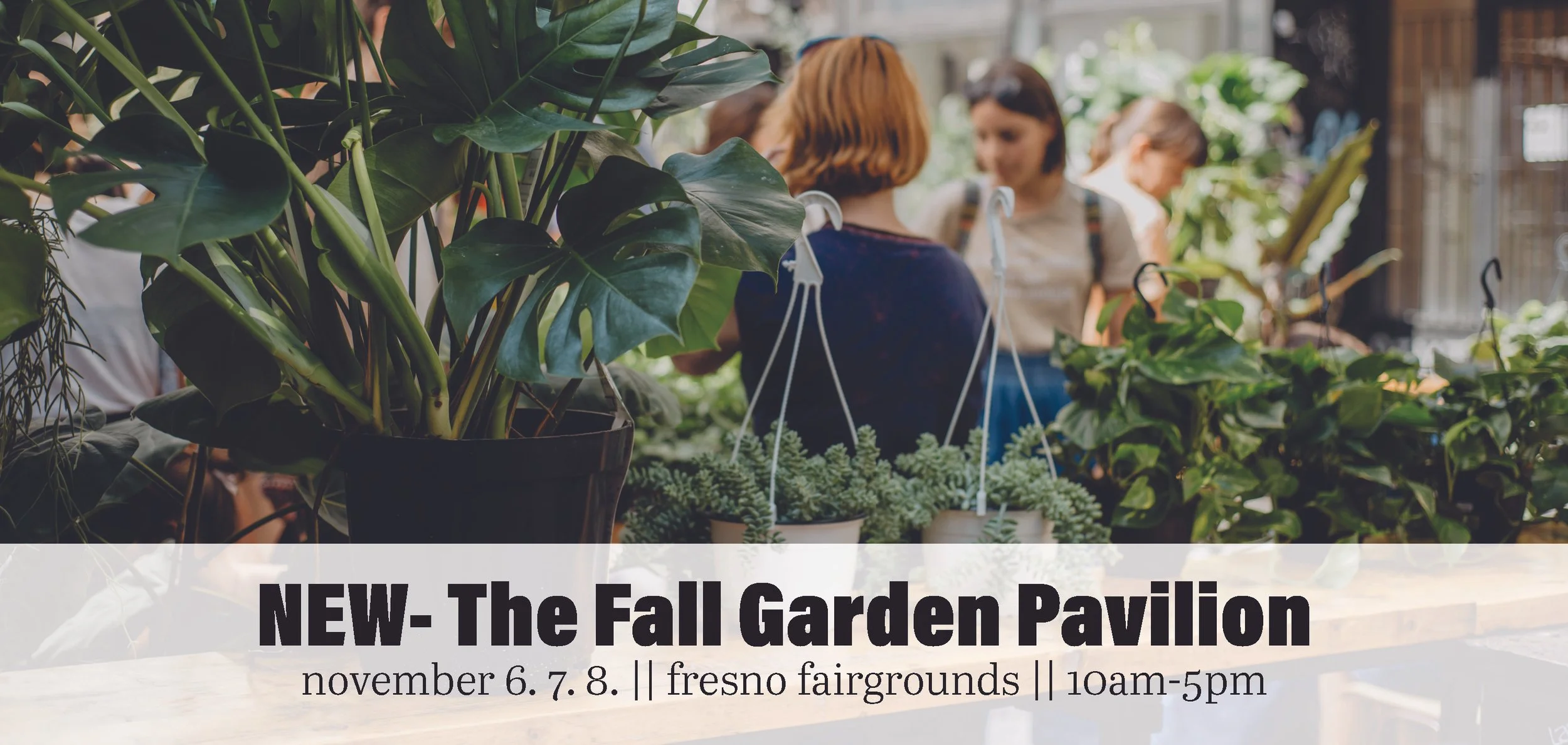 132Website Banners Fall Fresno 26.jpg