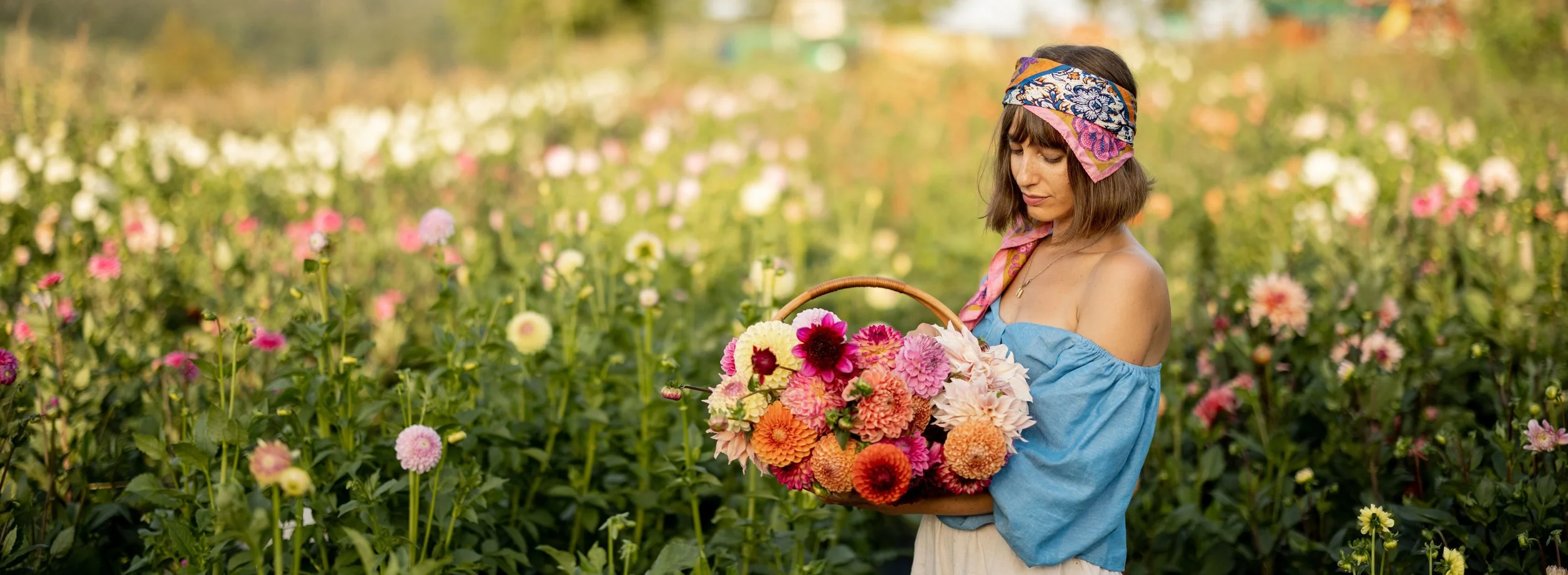 March 7-9 (2560 x 940 px).jpg