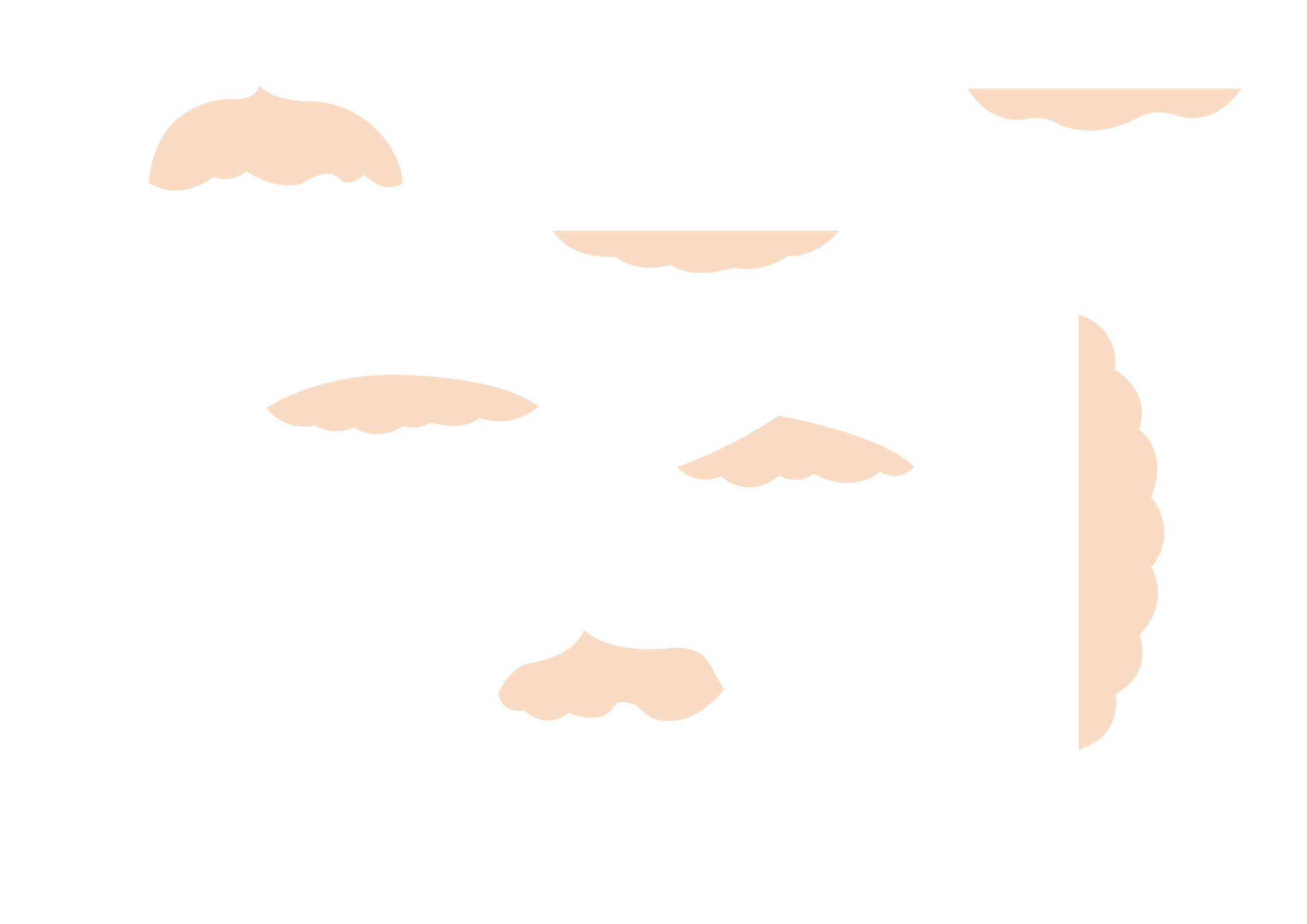 shapes vector.png