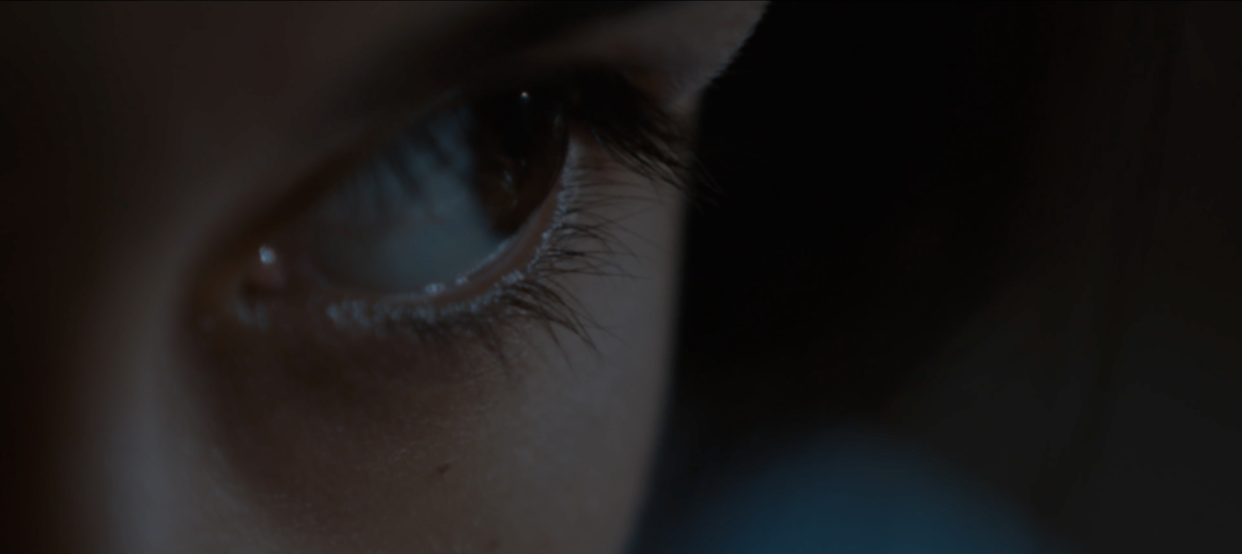 Screen Shot 2024-05-03 at 4.24.58 PM.png