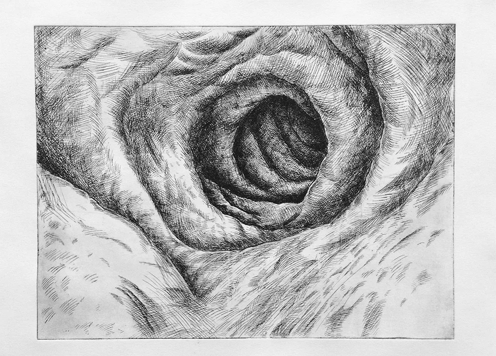Cave 2