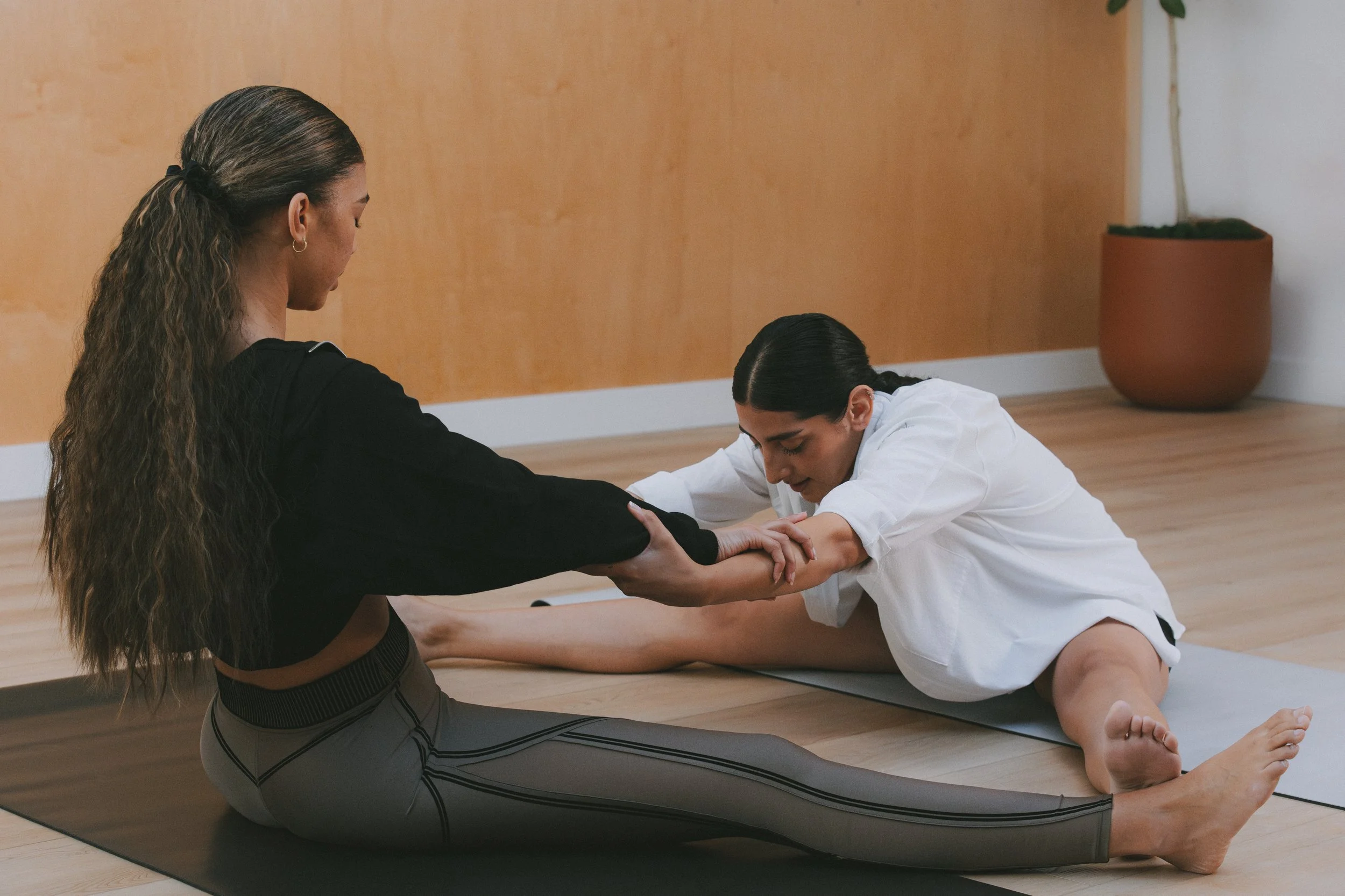 ALO WEB FINALS_-5.JPG