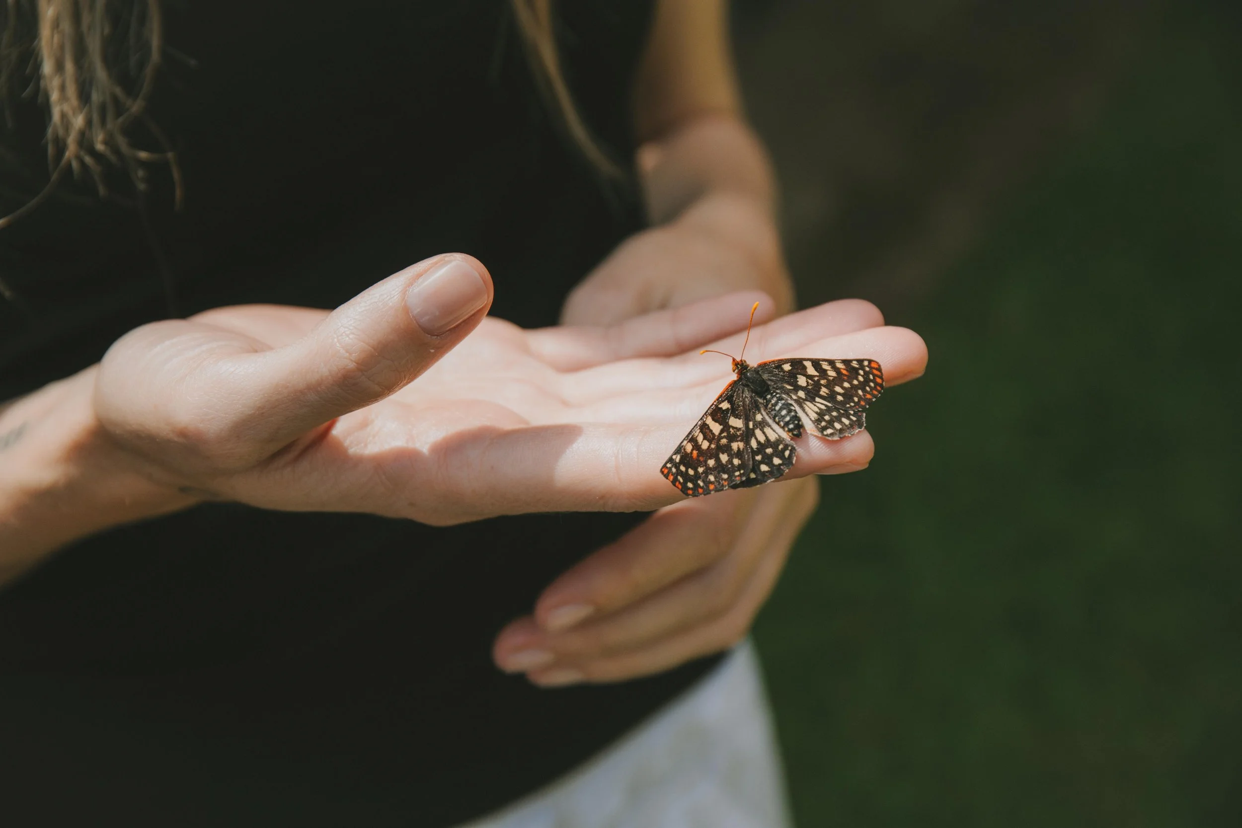 SOKOT SAMPLES-33.JPG