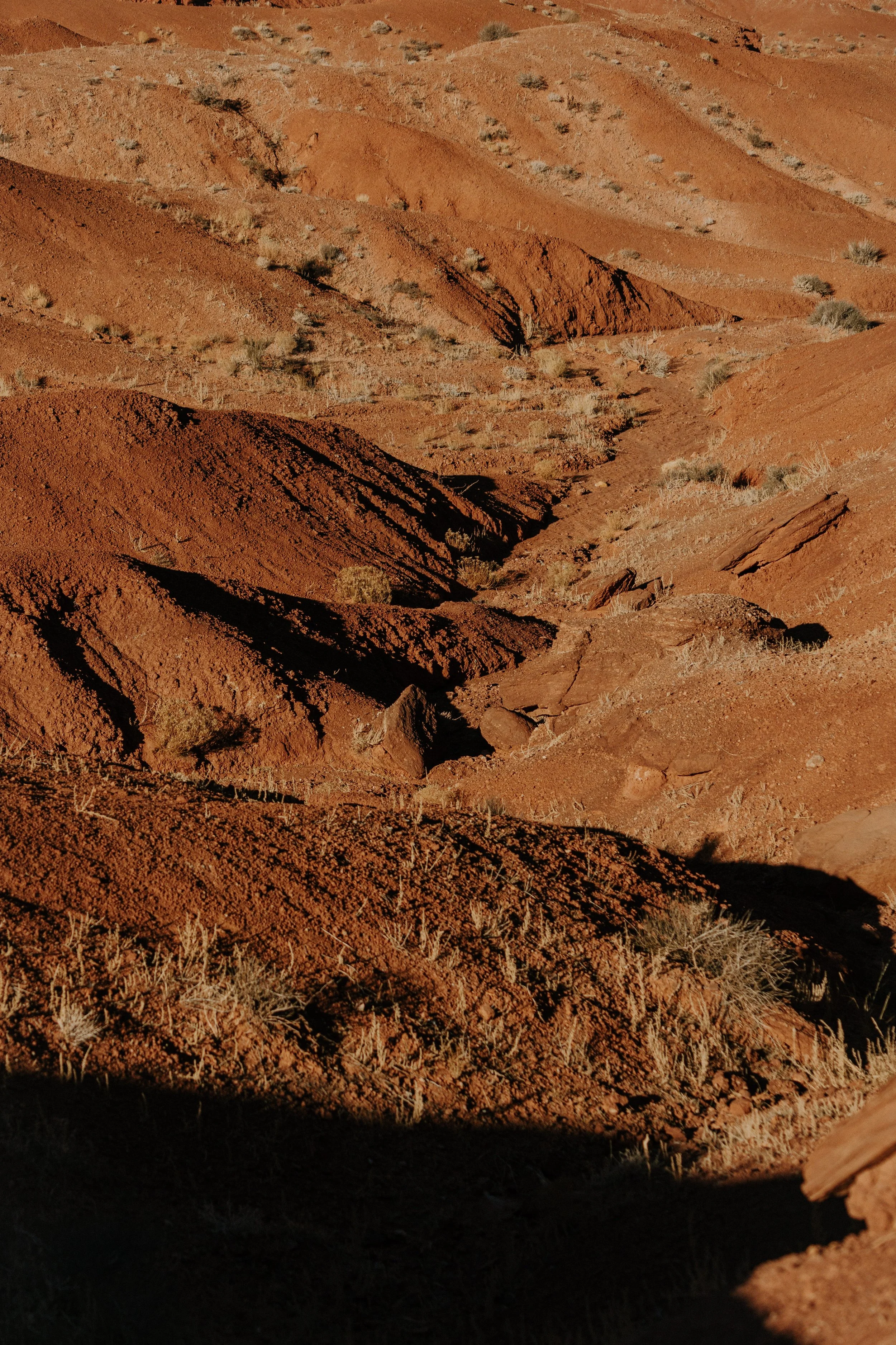 ManorsAZ-Lookbook_-60 (1).JPG