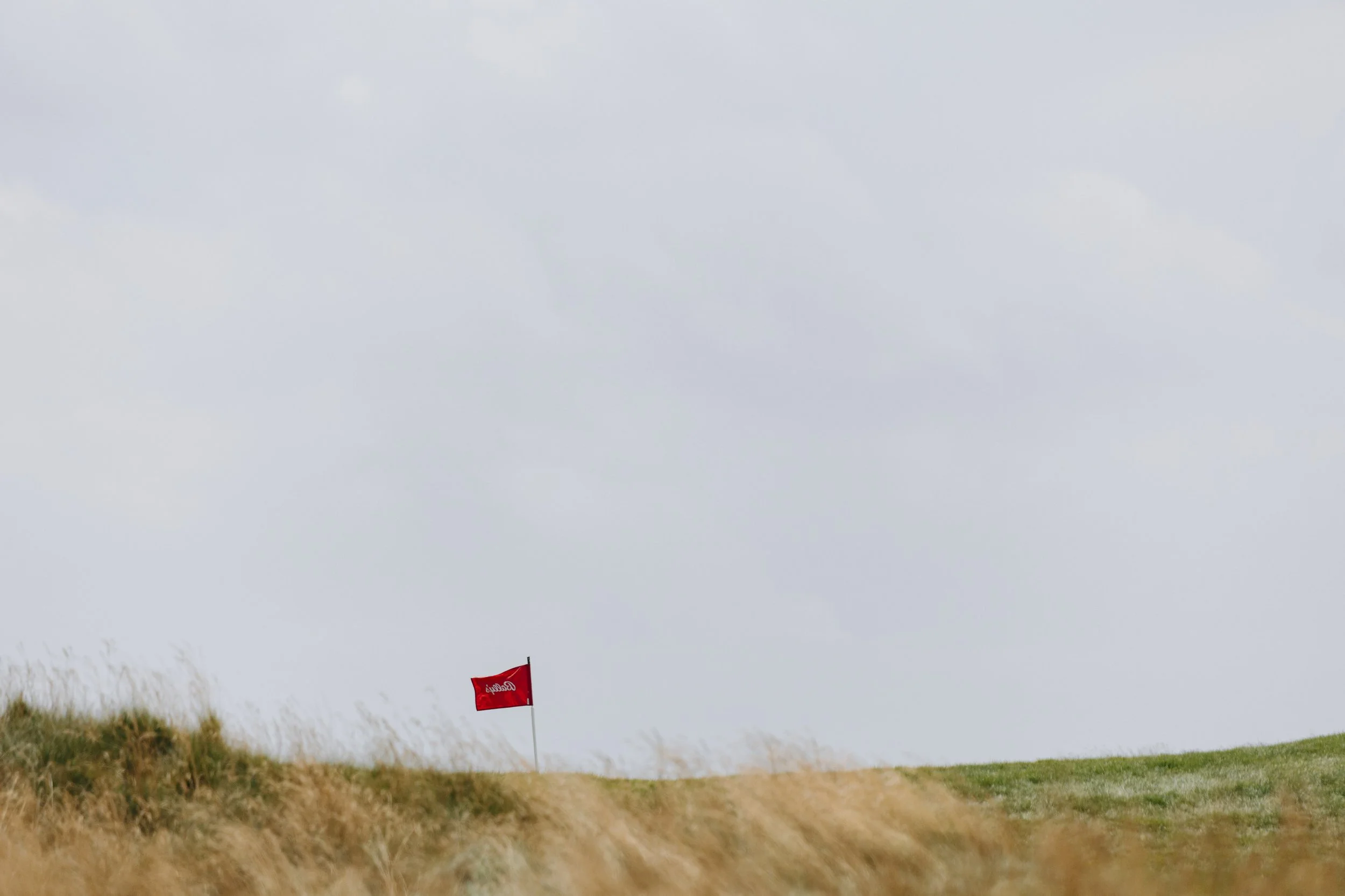 Fairgame X Shinzo_-70.JPG