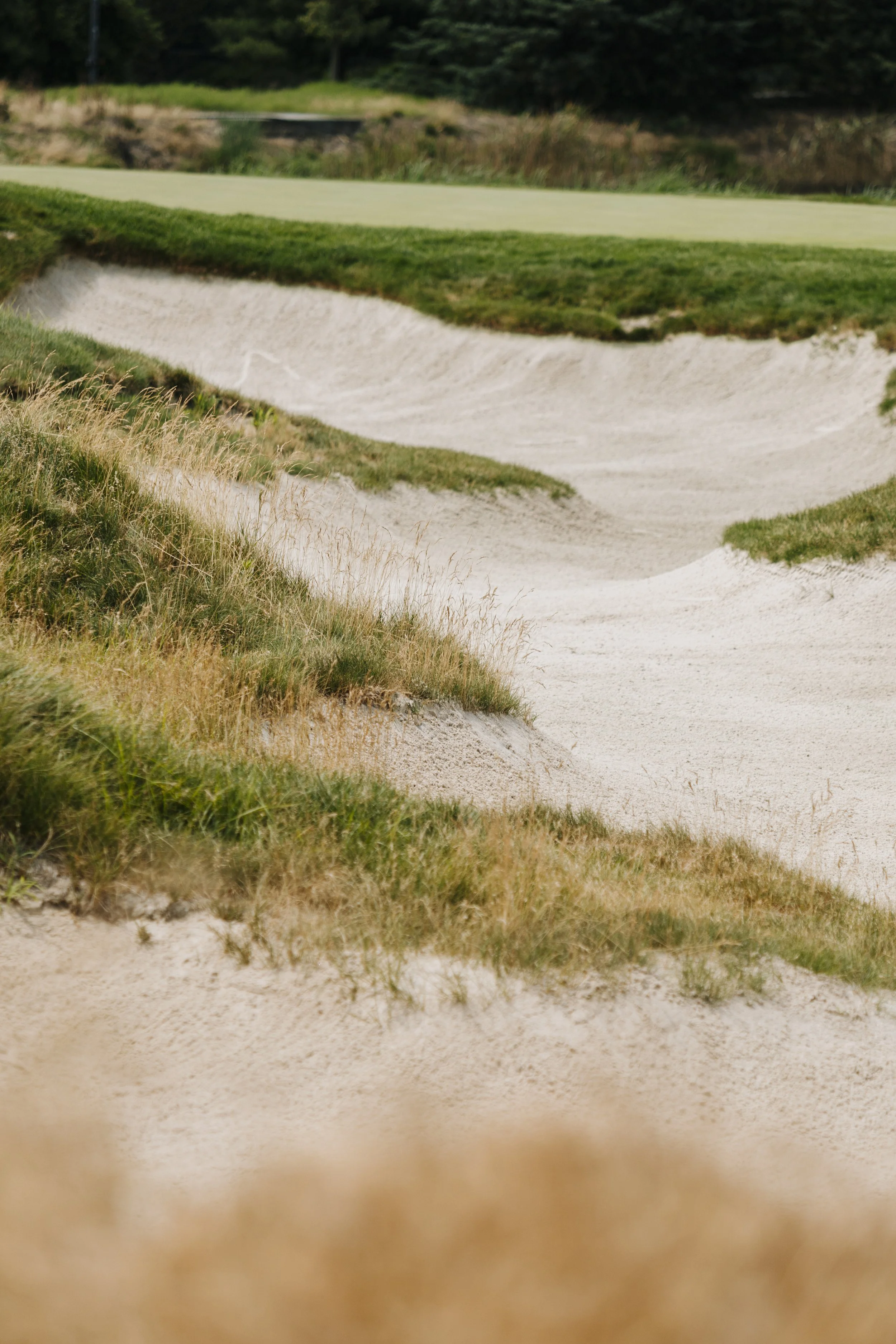 Fairgame X Shinzo_-93.JPG