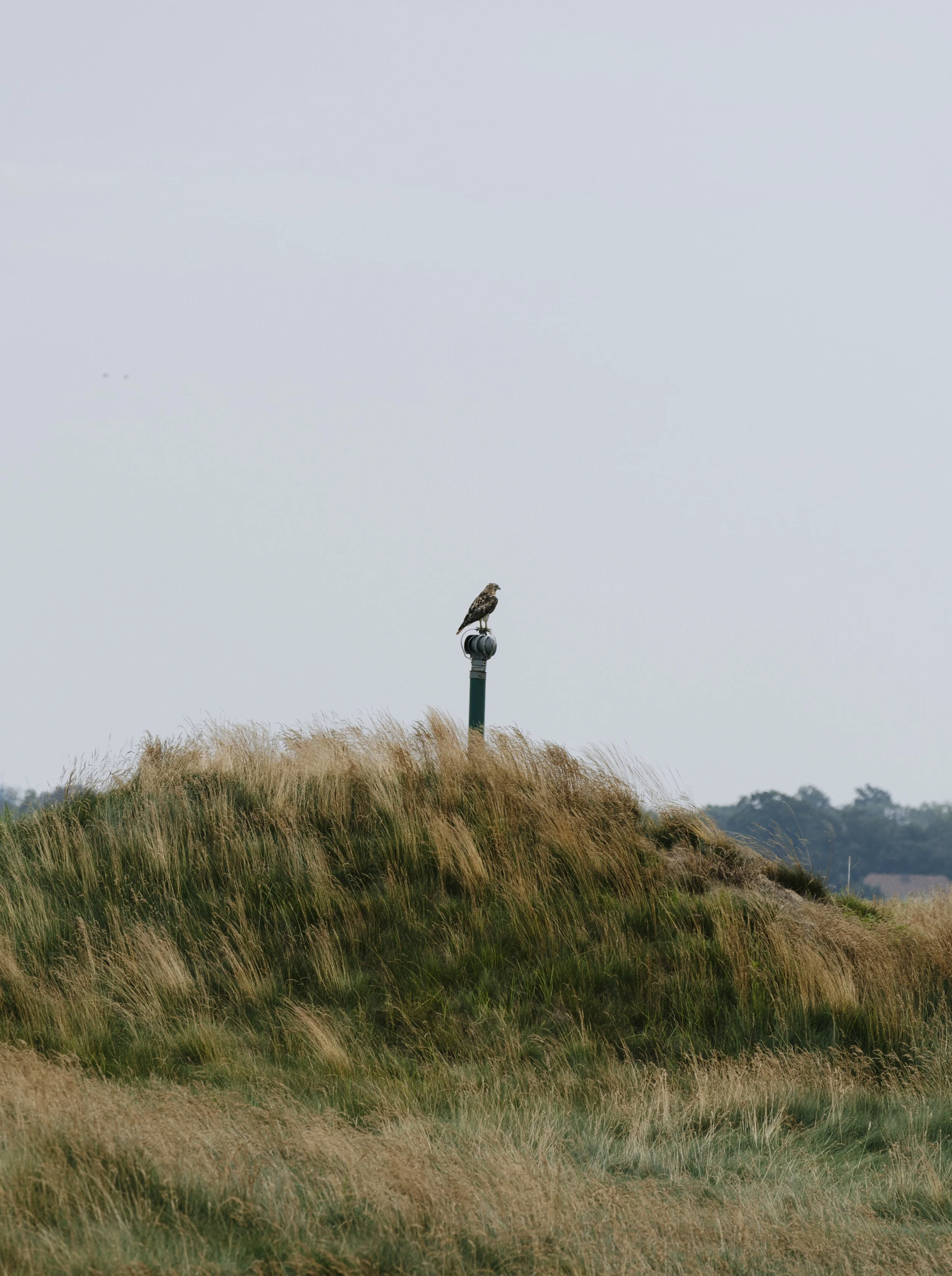 Fairgame X Shinzo_-98.JPG