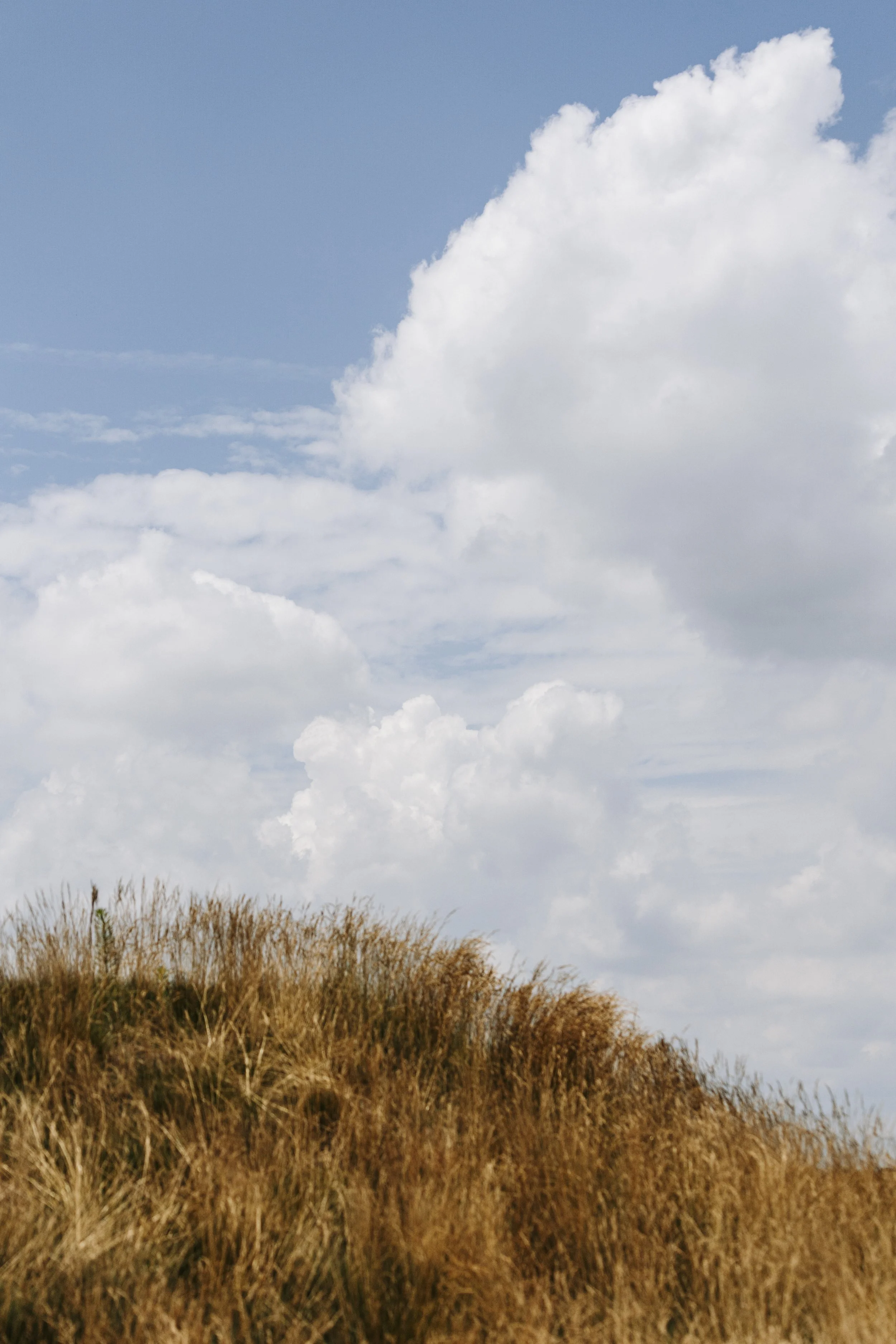 Fairgame X Shinzo_-62.JPG