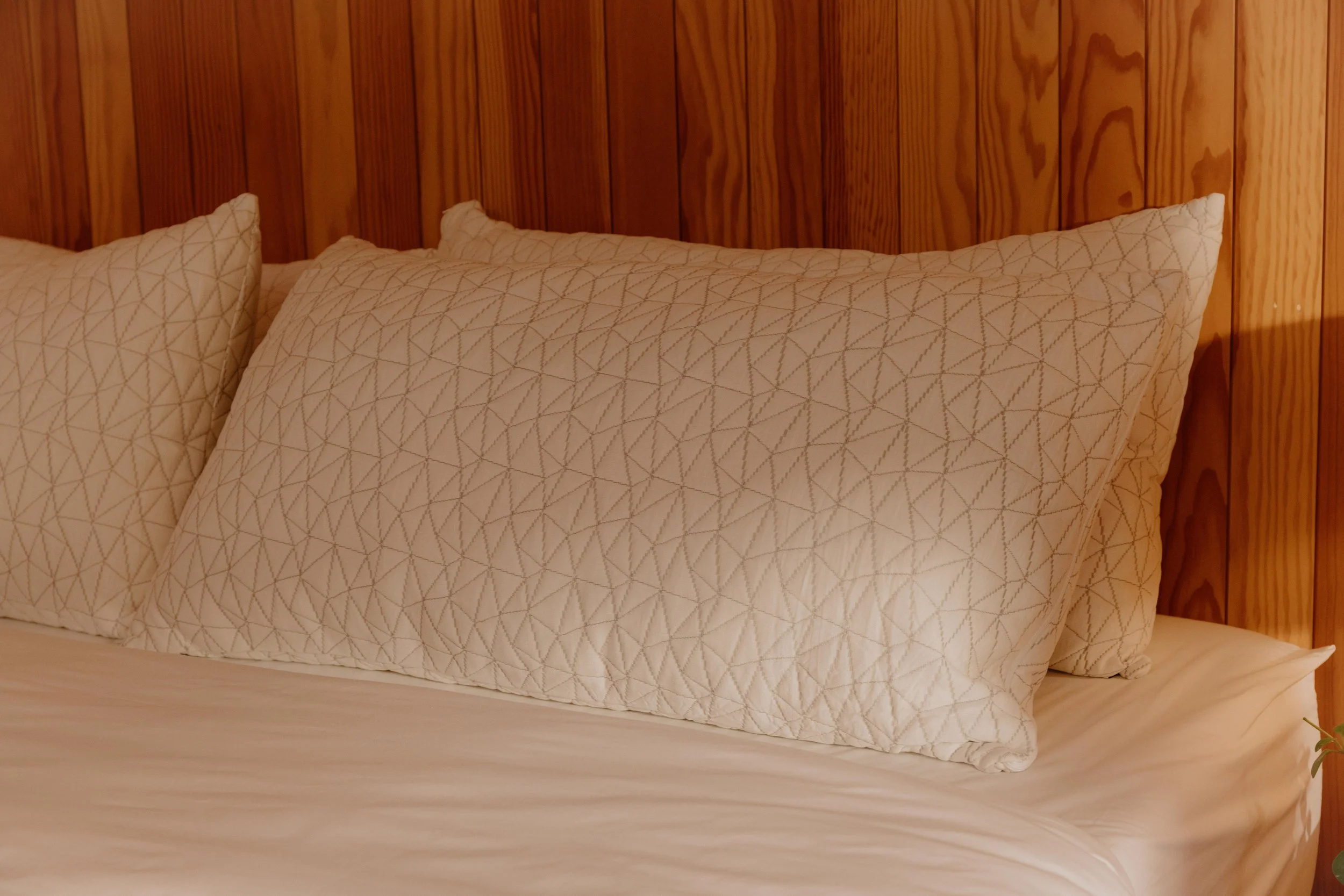 COOP 2 Color Samples-24.JPG