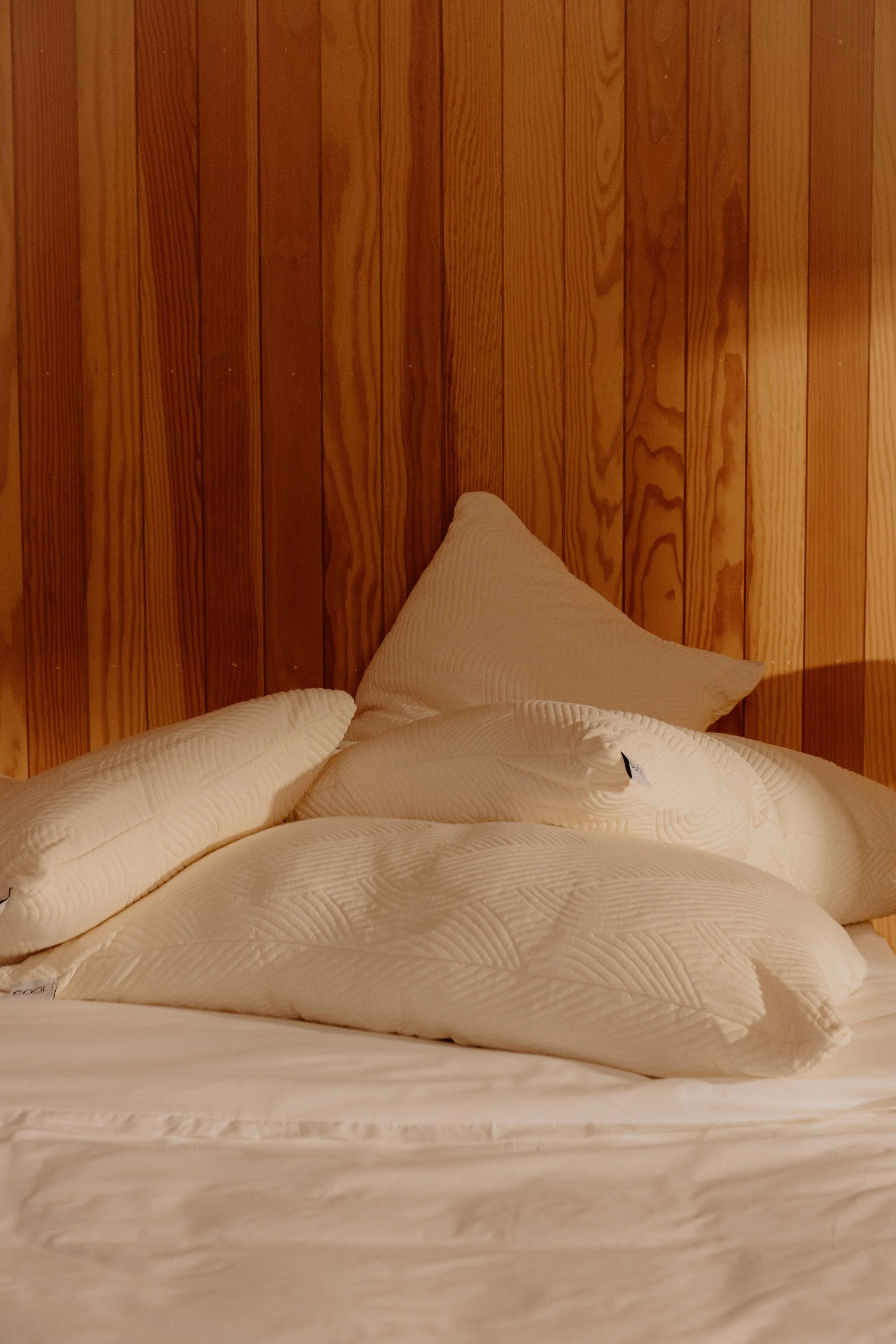 COOP 2 Color Samples-29.JPG