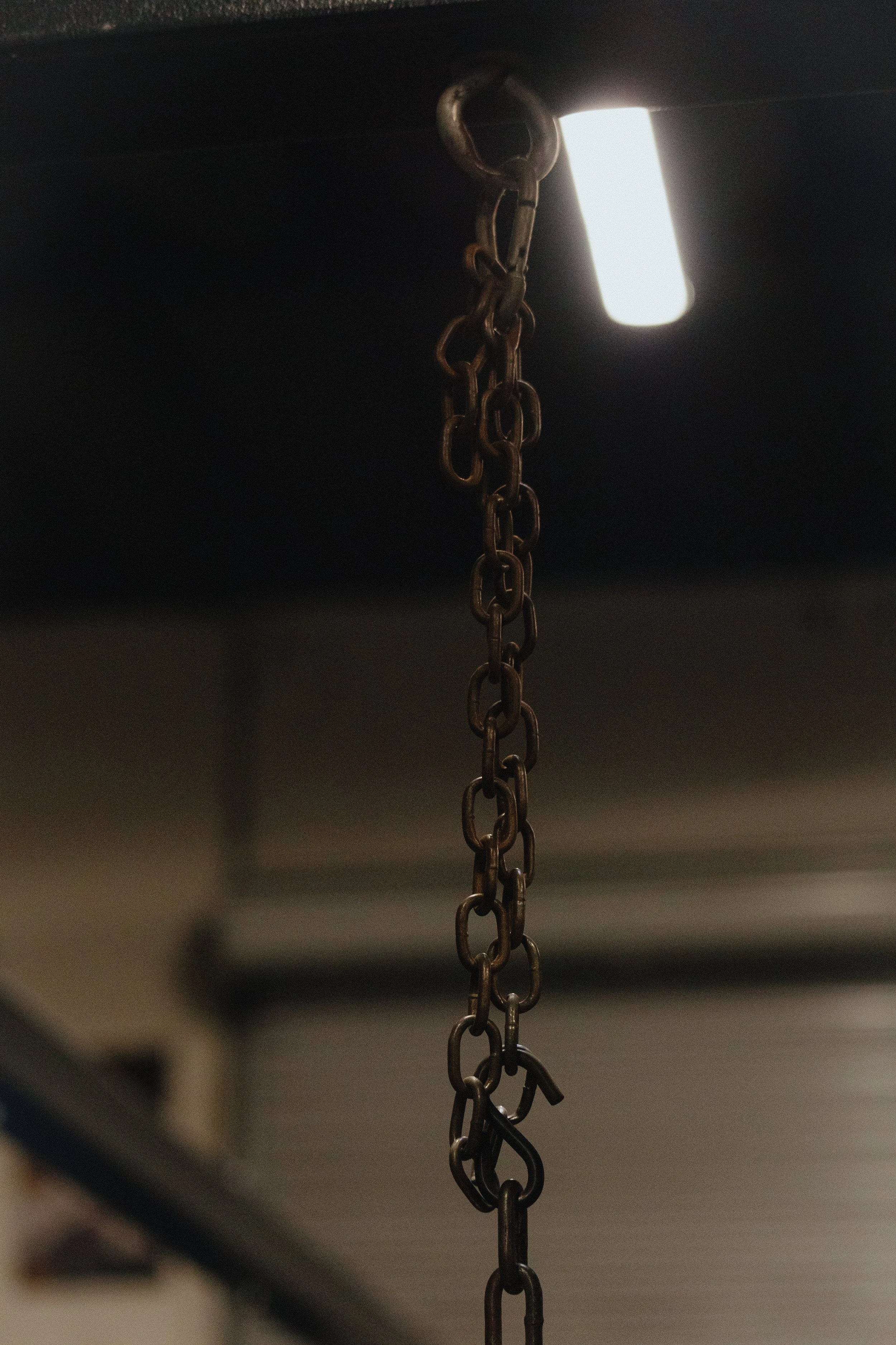 Boxraw Finals_-2.jpg