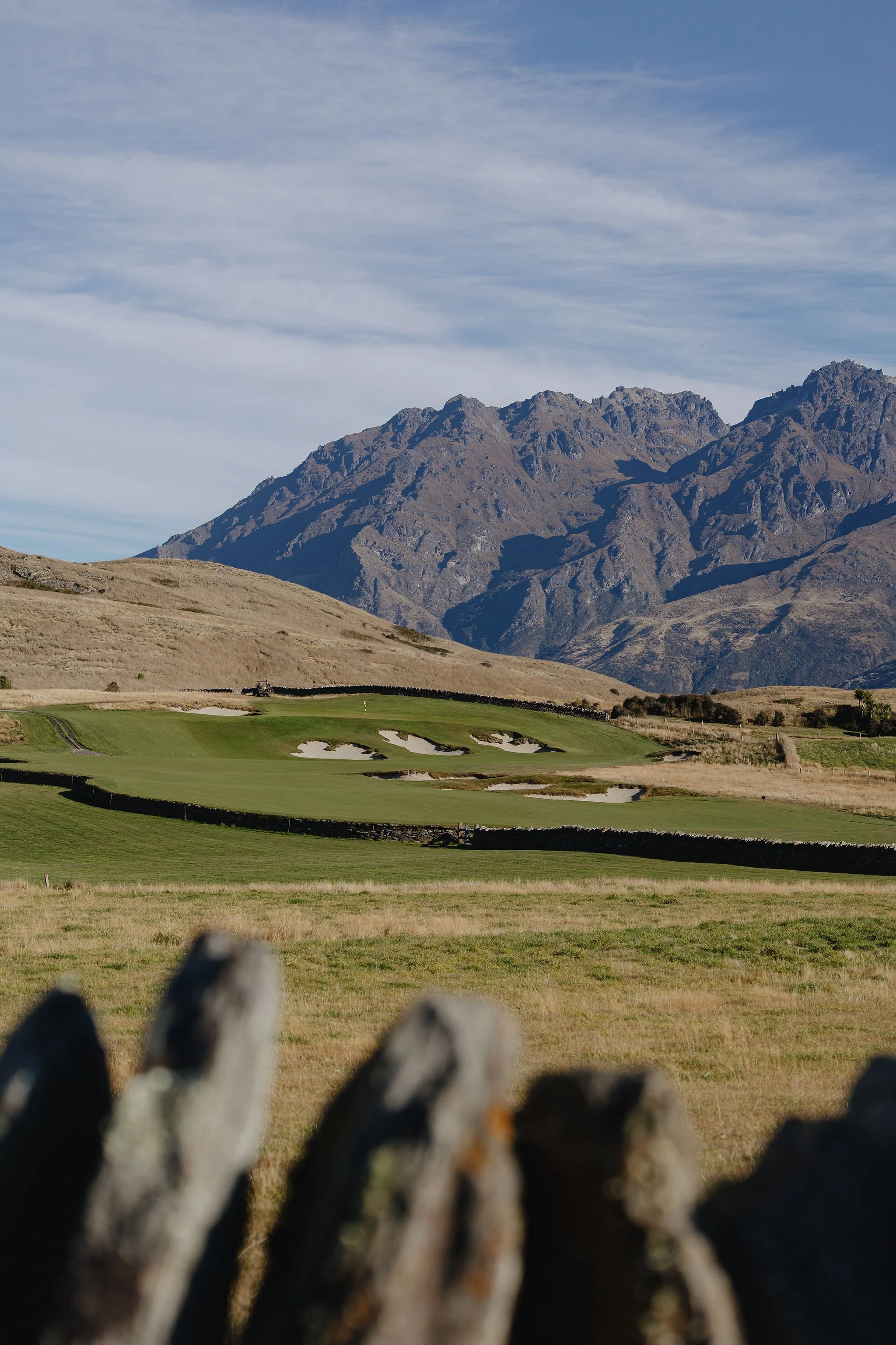 ShinzoNZ2-93.jpg