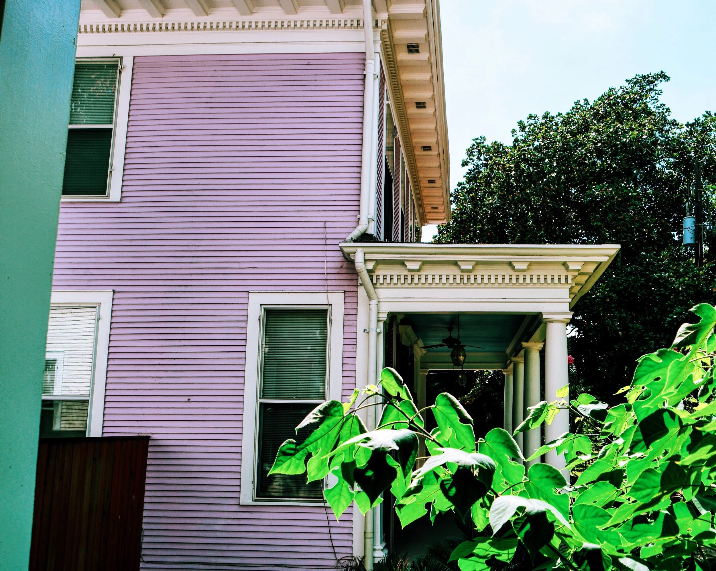 The view from the porch of the same house. Next door is an identical house, except it's pink, and occupied. 