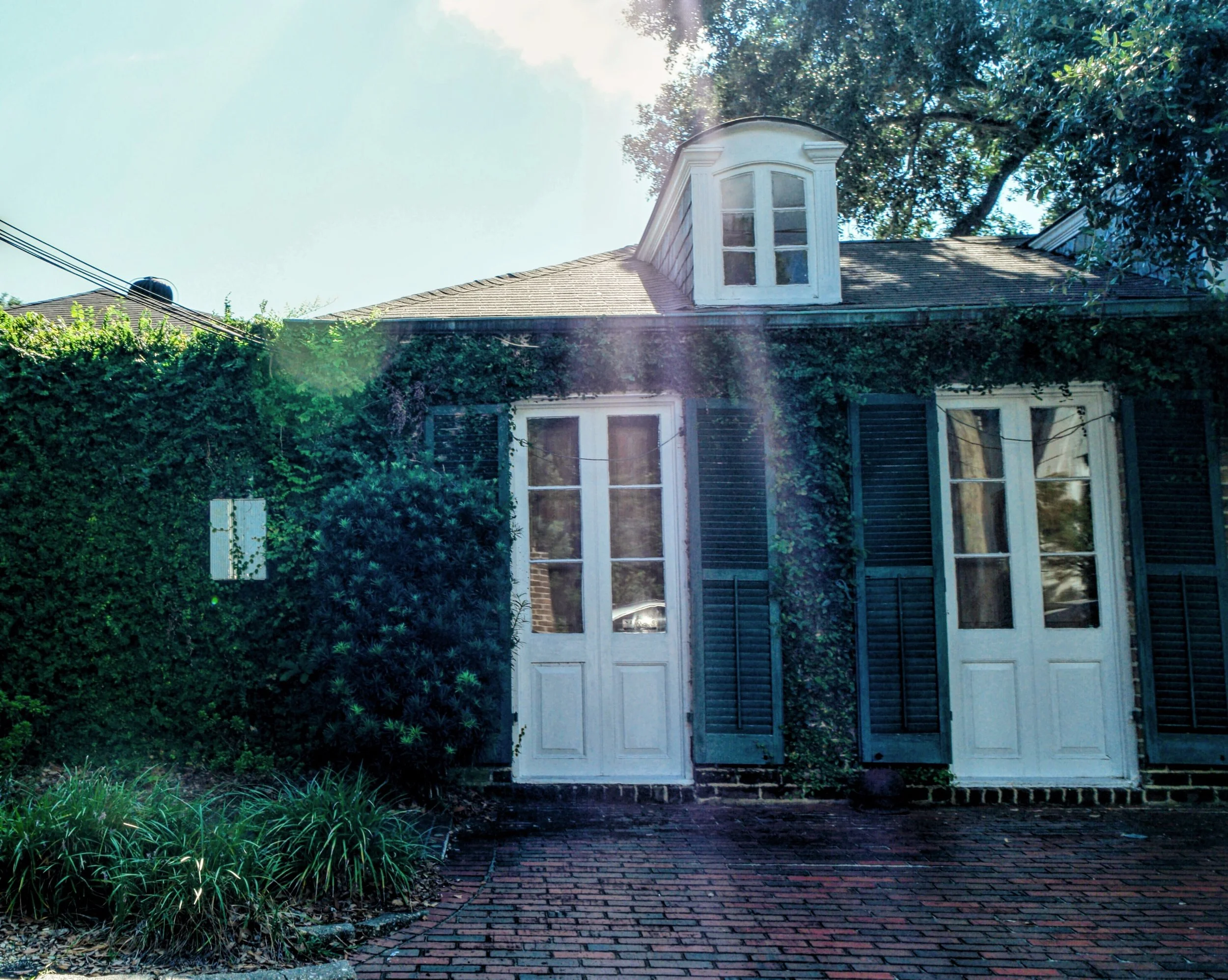 A house covered in vines south of downtown