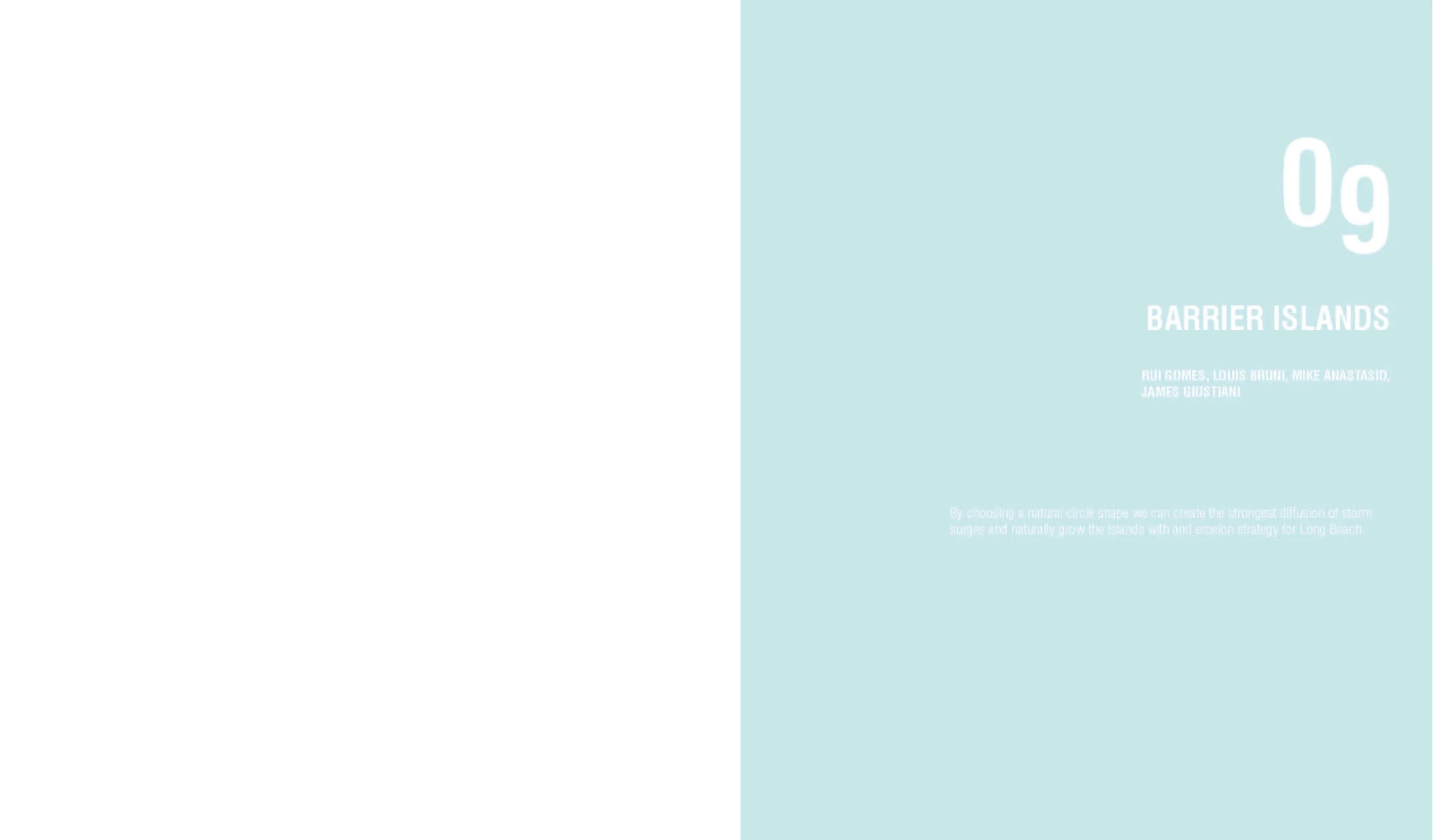 DV TEMPLATES_Page_05.jpg