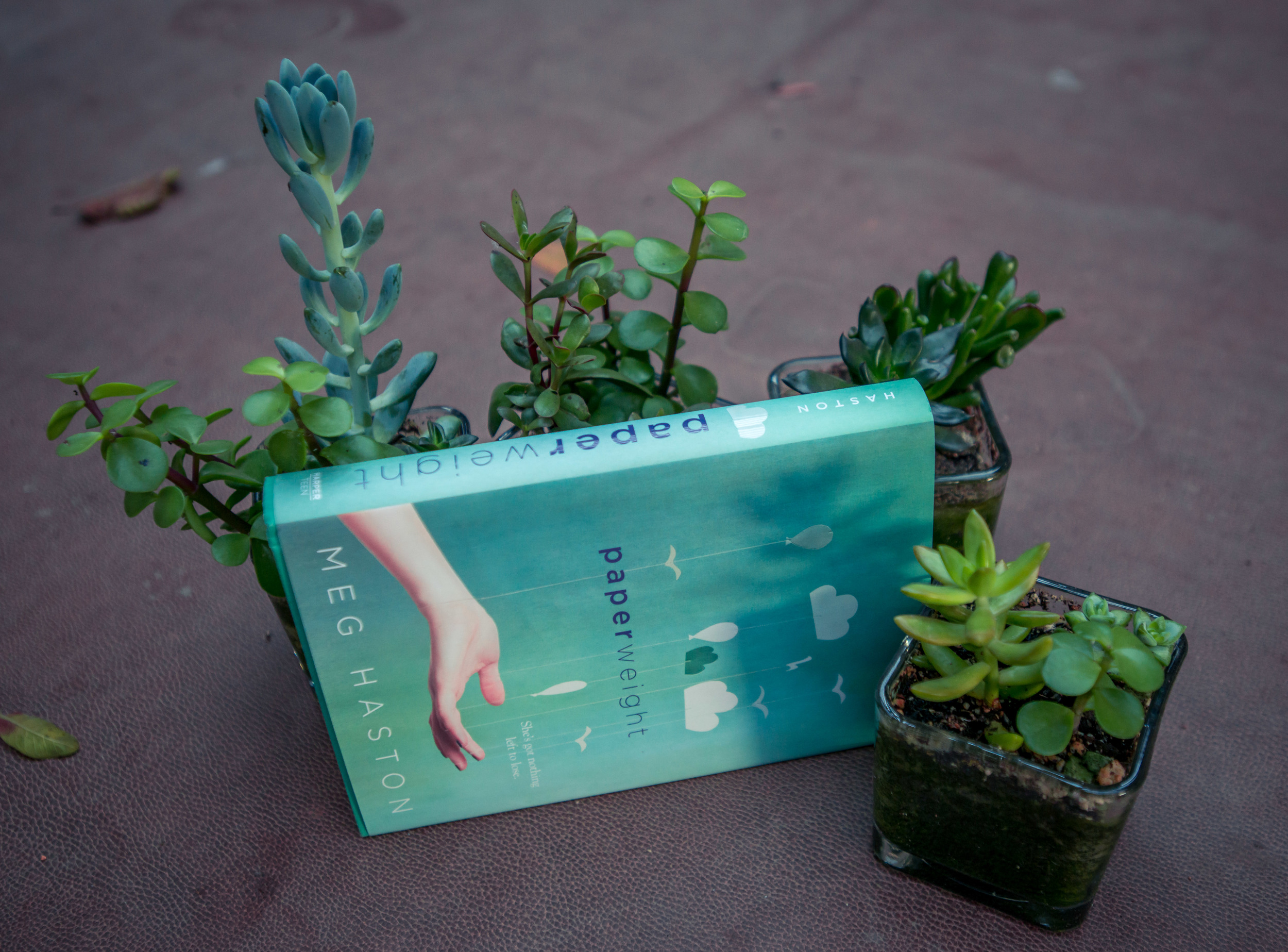 BOOK CLUB Paperweight by Meg Haston — the book carousel