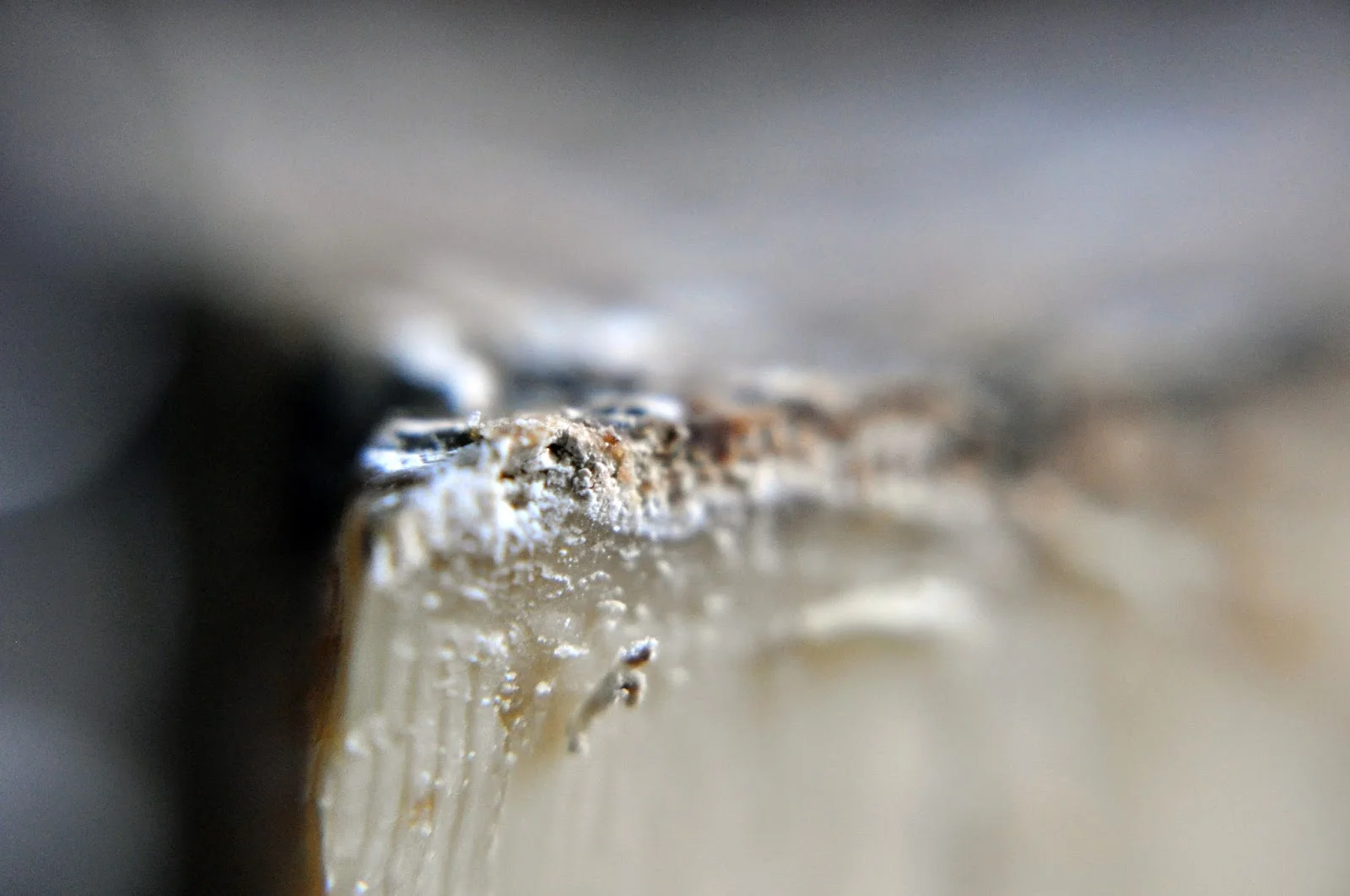 DSC_1076.JPG