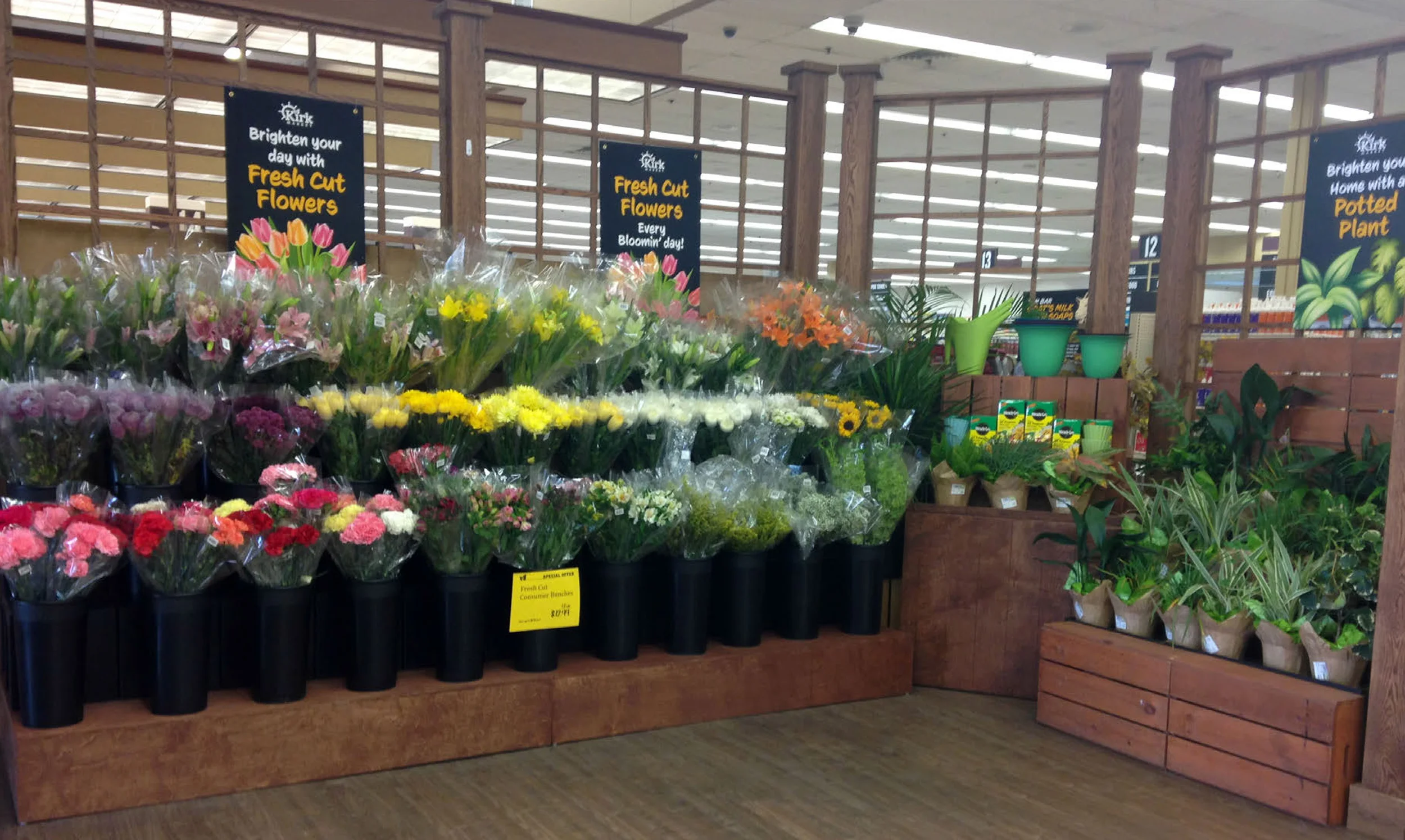 Updated Floral Retail