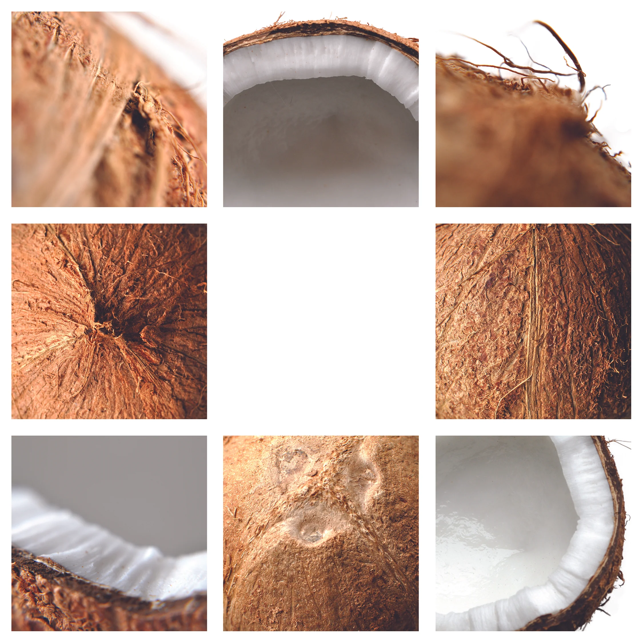 Coconut