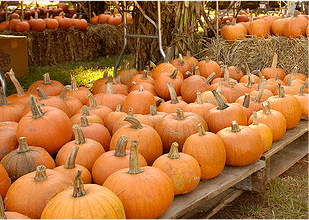 Fort Greene Park Conservancy