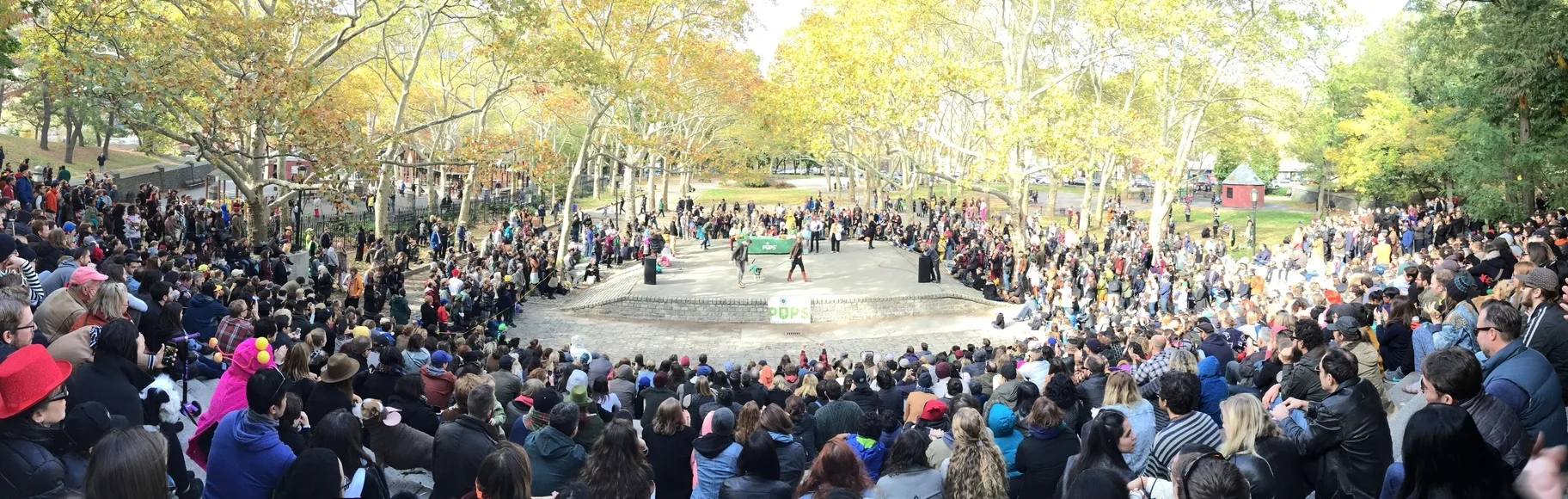Great PUPkin Costume Contest. 11/31/15